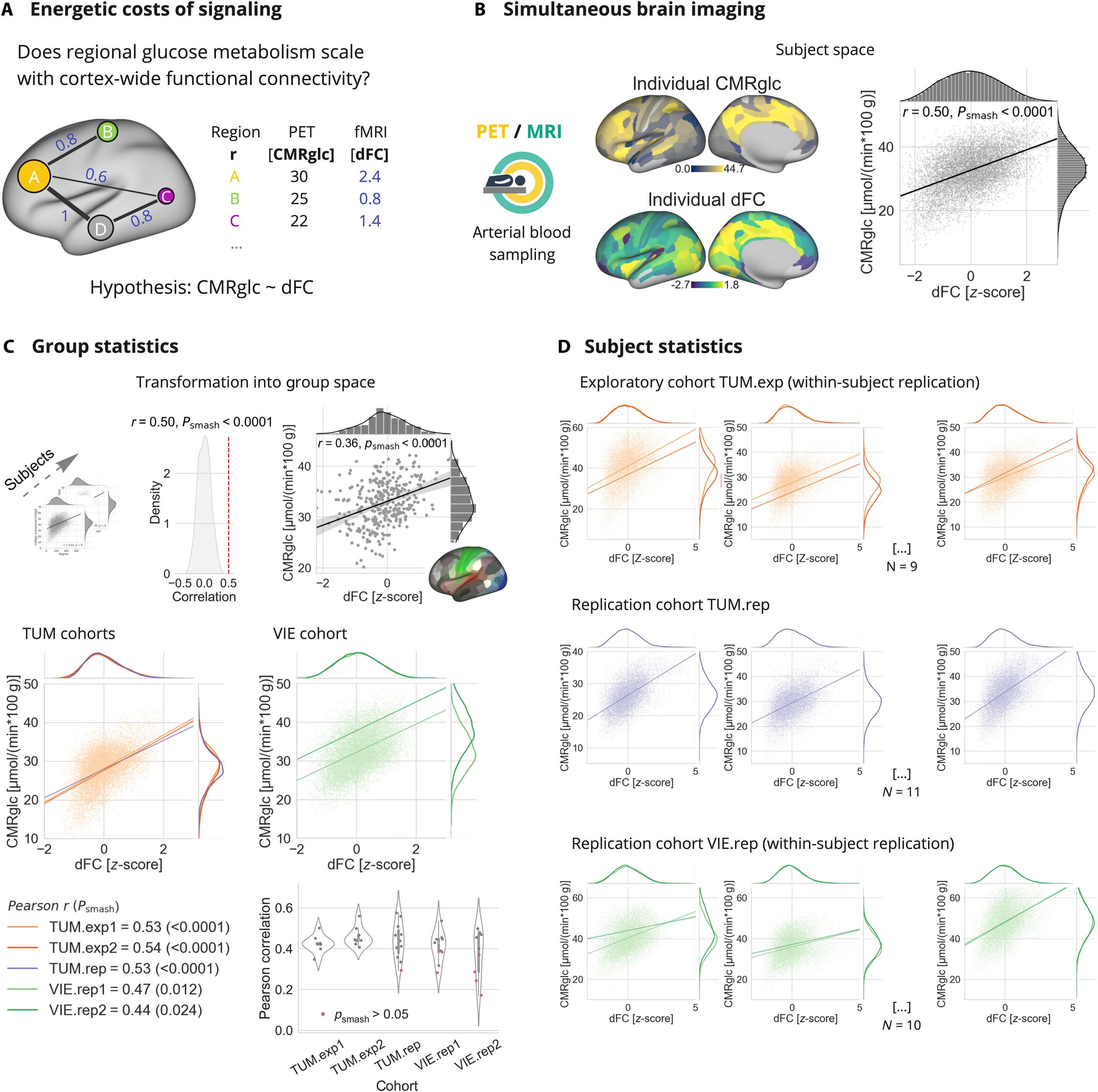 Understanding Human Intelligence: How Cognitive Circuitry Drove Evolution Beyond Brain Size