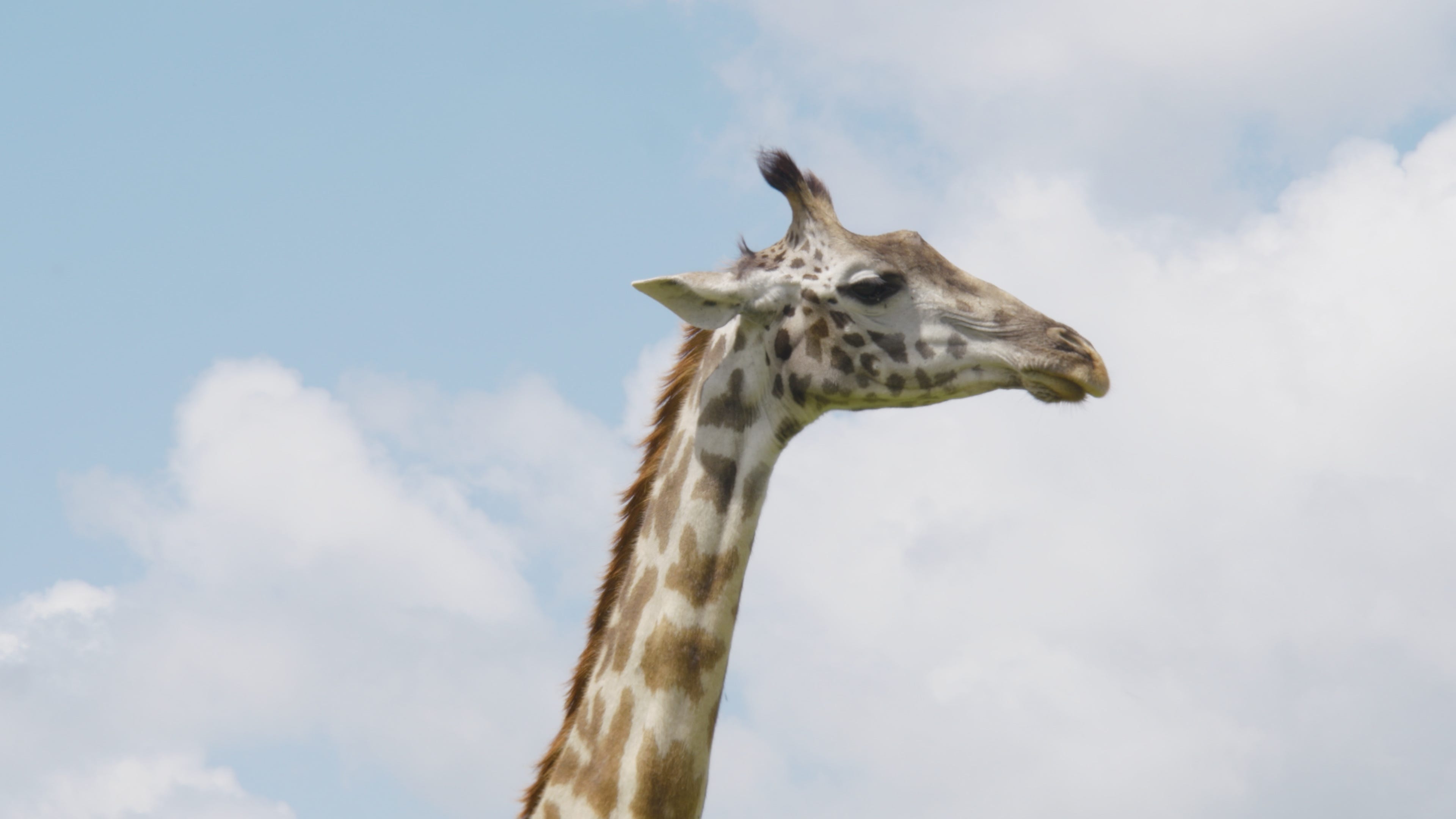 Kan inte infoga pdffiler i outlook längre  Microsoft QampA