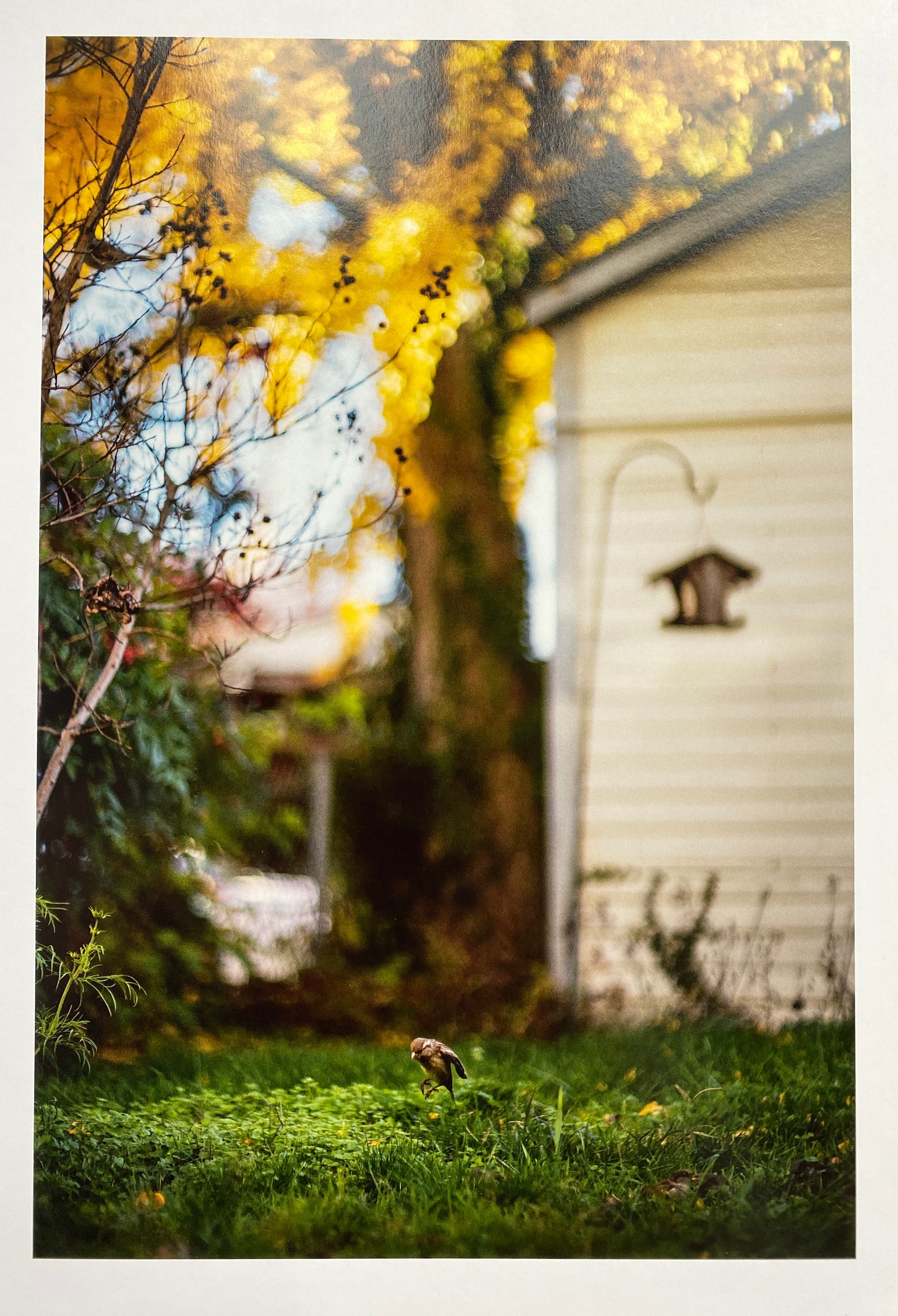 The magical world of Terri Weifenbach - by Susanne Helmert