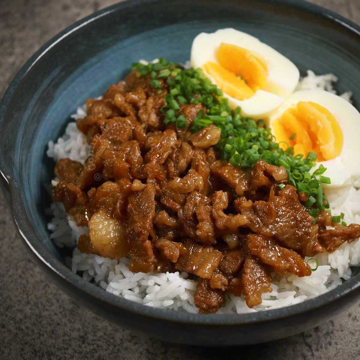 13 Japanese donburi and the rice bowls of Asia