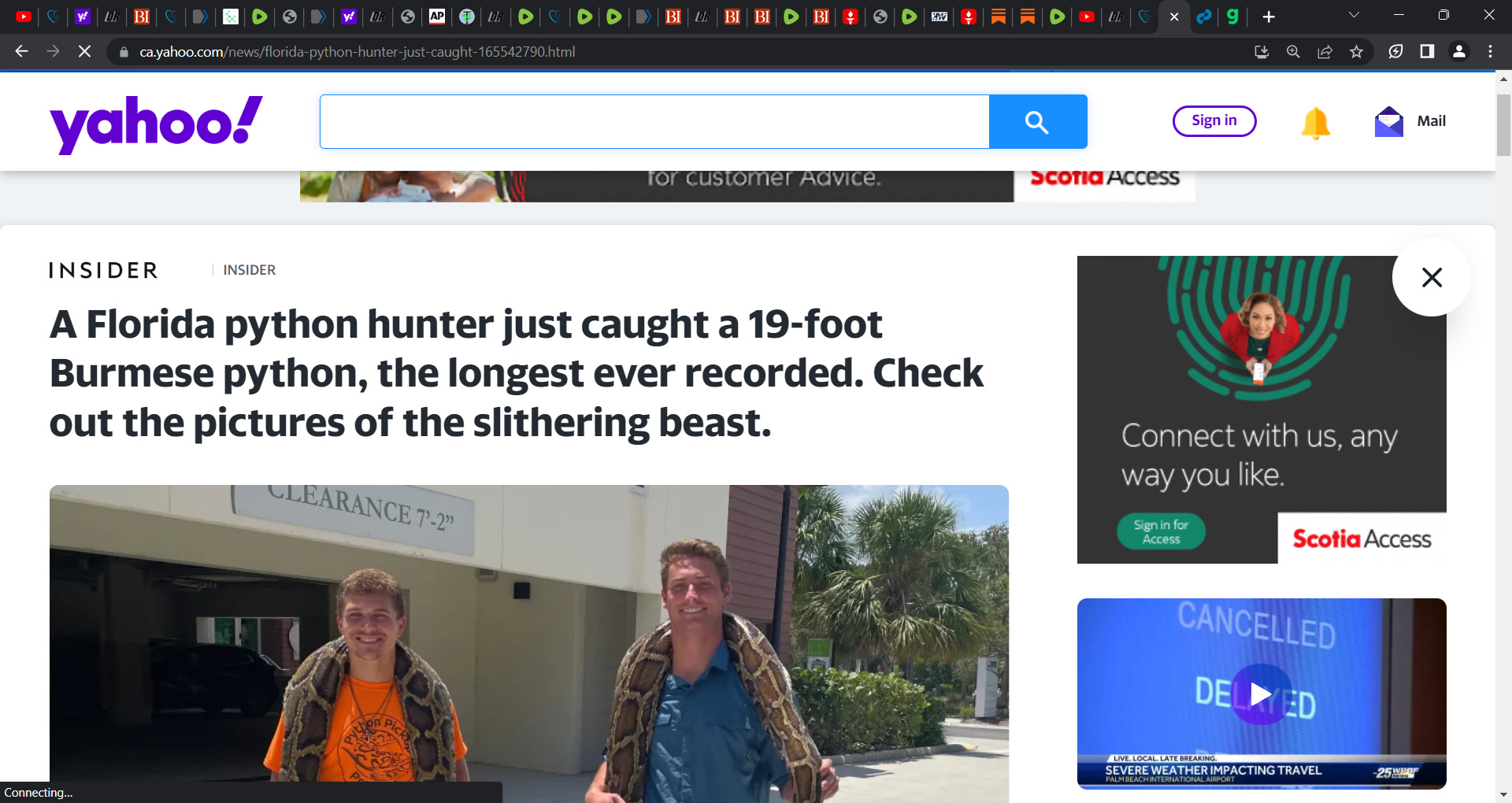 Florida has a serious alligator and snake python problem, these 2 (and ...