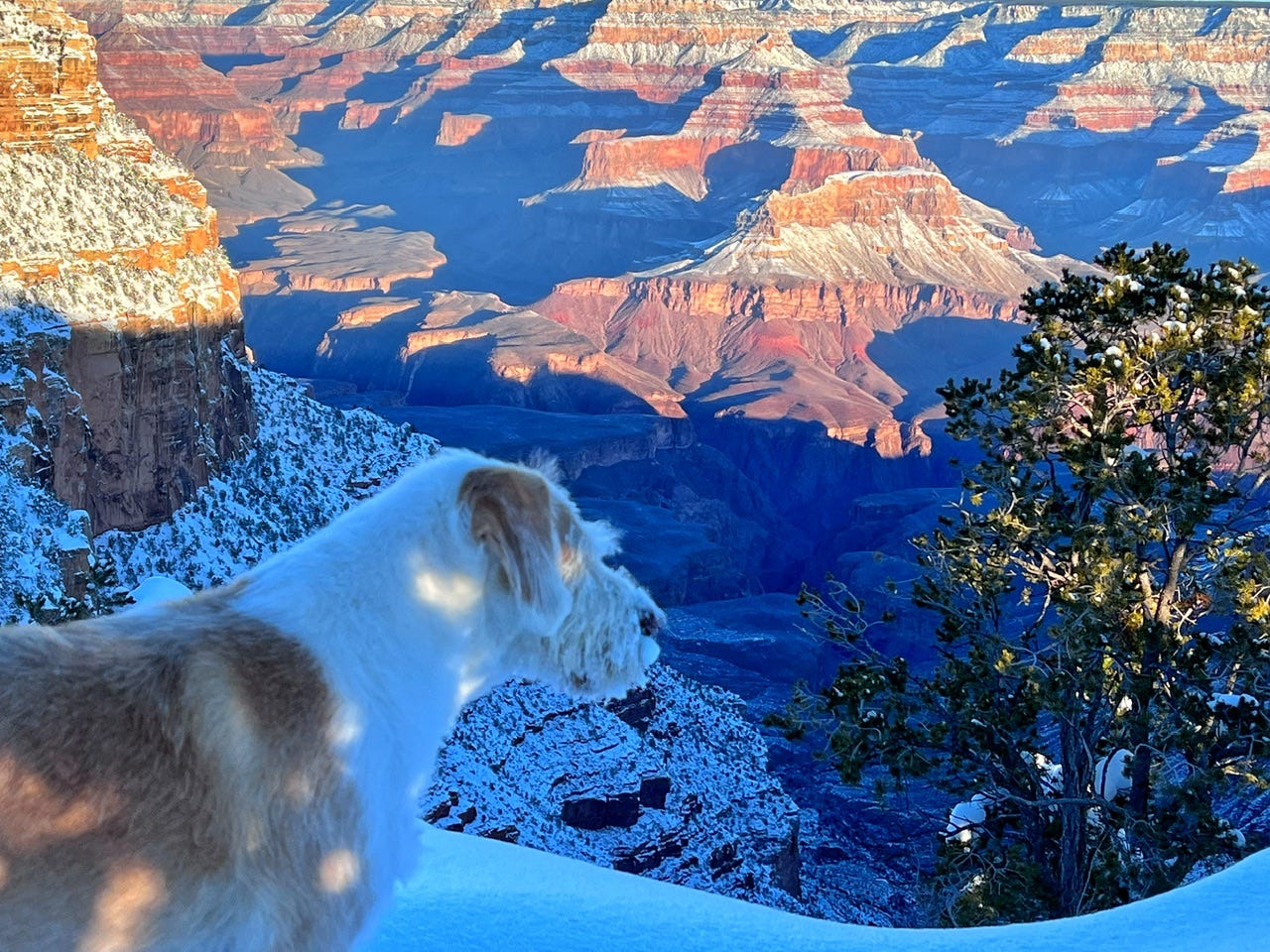 Choose The Grand Canyon Photograph For Our 2024 Samwise Emily Calendar   4e2fd0e6 36fa 4ce1 A6b1 D765f4060a3c 1280x960 