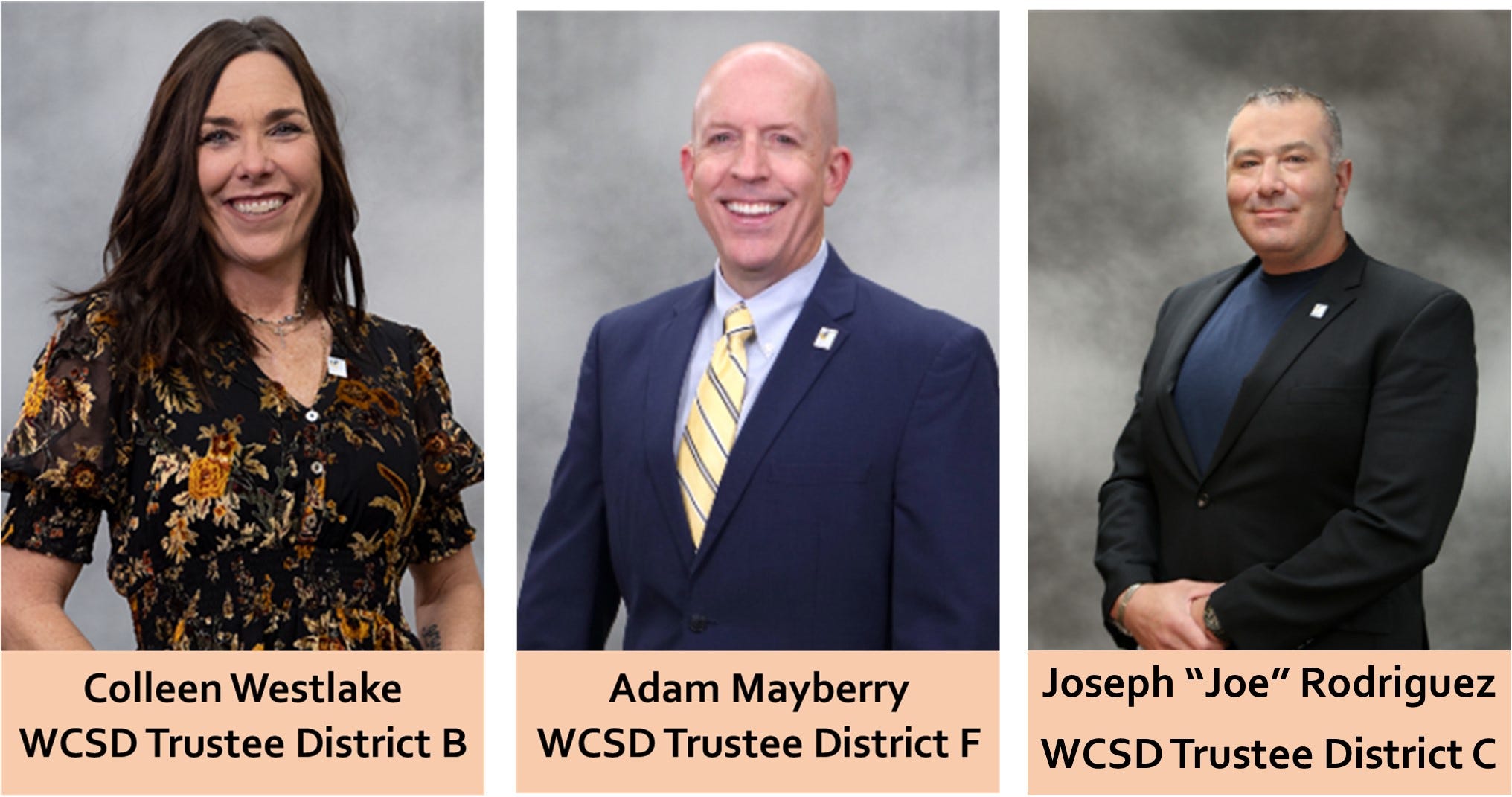 Washoe County School District Trustees School Safety, Student