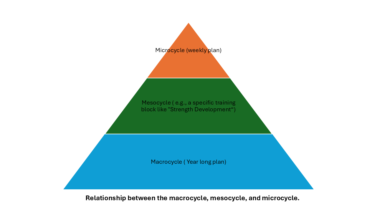 The Swimmer's Blueprint: Deep Dive into Microcycle Planning for Peak ...