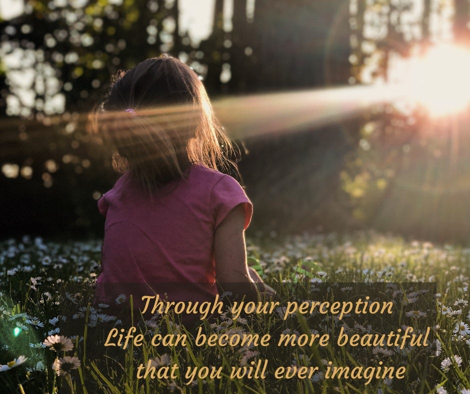 HOW DO WE CREATE A BEAUTIFUL LIFE?