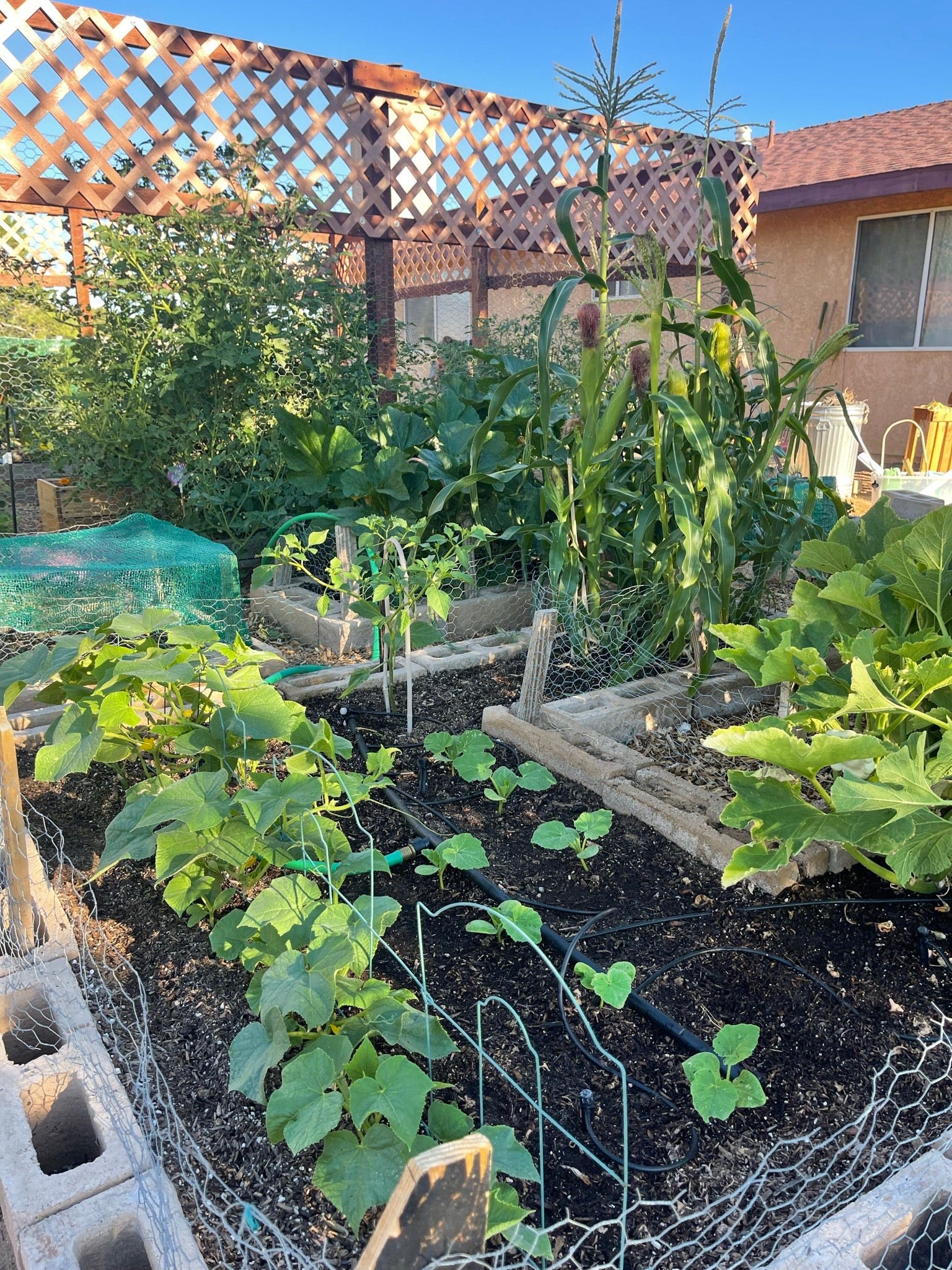 Midgard Moon Farm - by Kristen Welch - Moon Maiden Musings