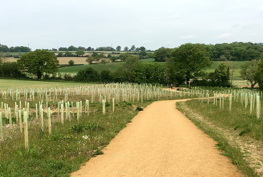 Tree Guards Part 1 Plastic