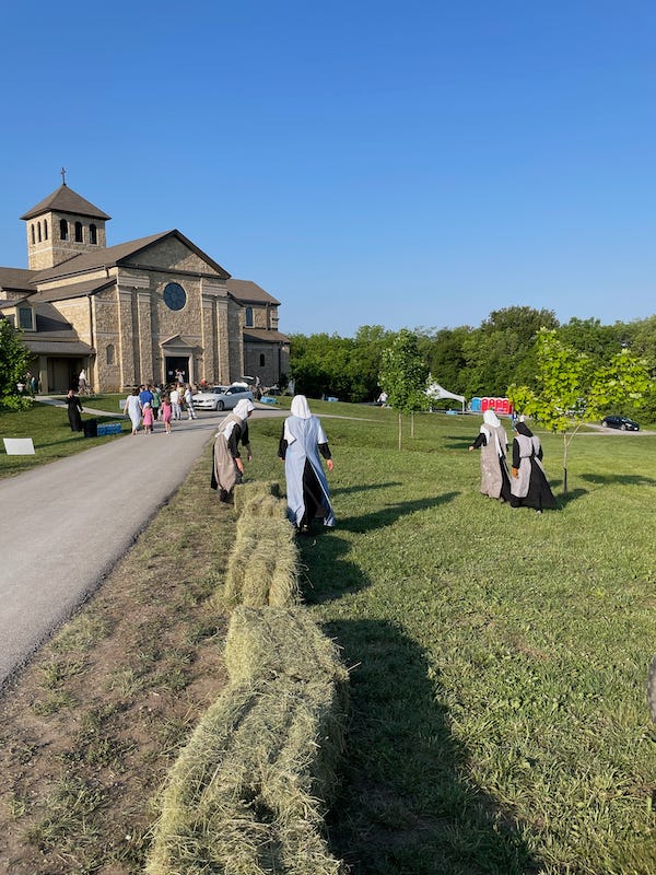 'I want to see for myself' Thousands look for miracle at Gower Abbey