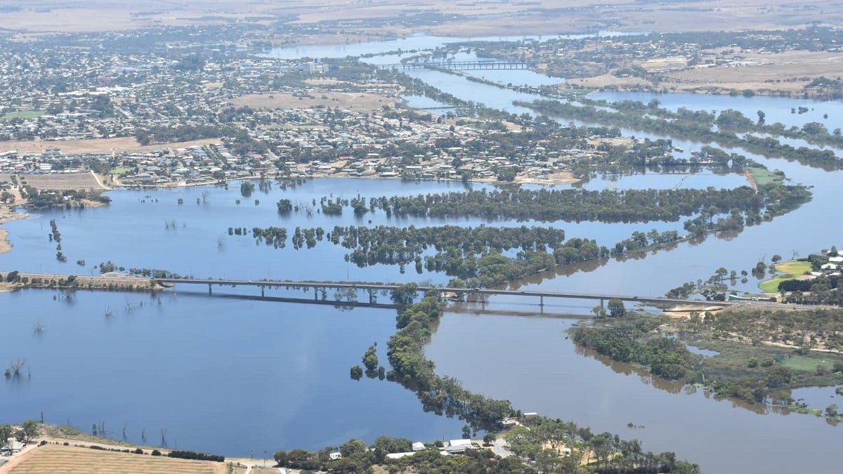 Murray Bridge flood watch: river levels, warnings and more
