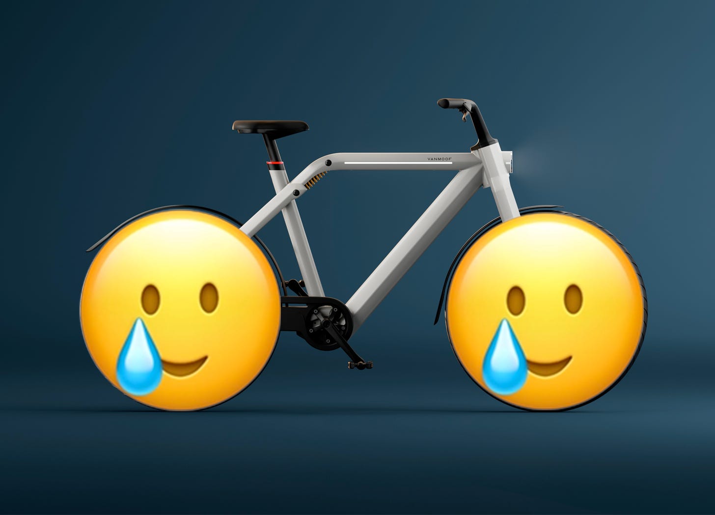 Vanmoof subscription electric store