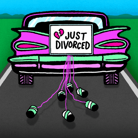 The Lyft driver #39 s guide to divorce by Michael Estrin