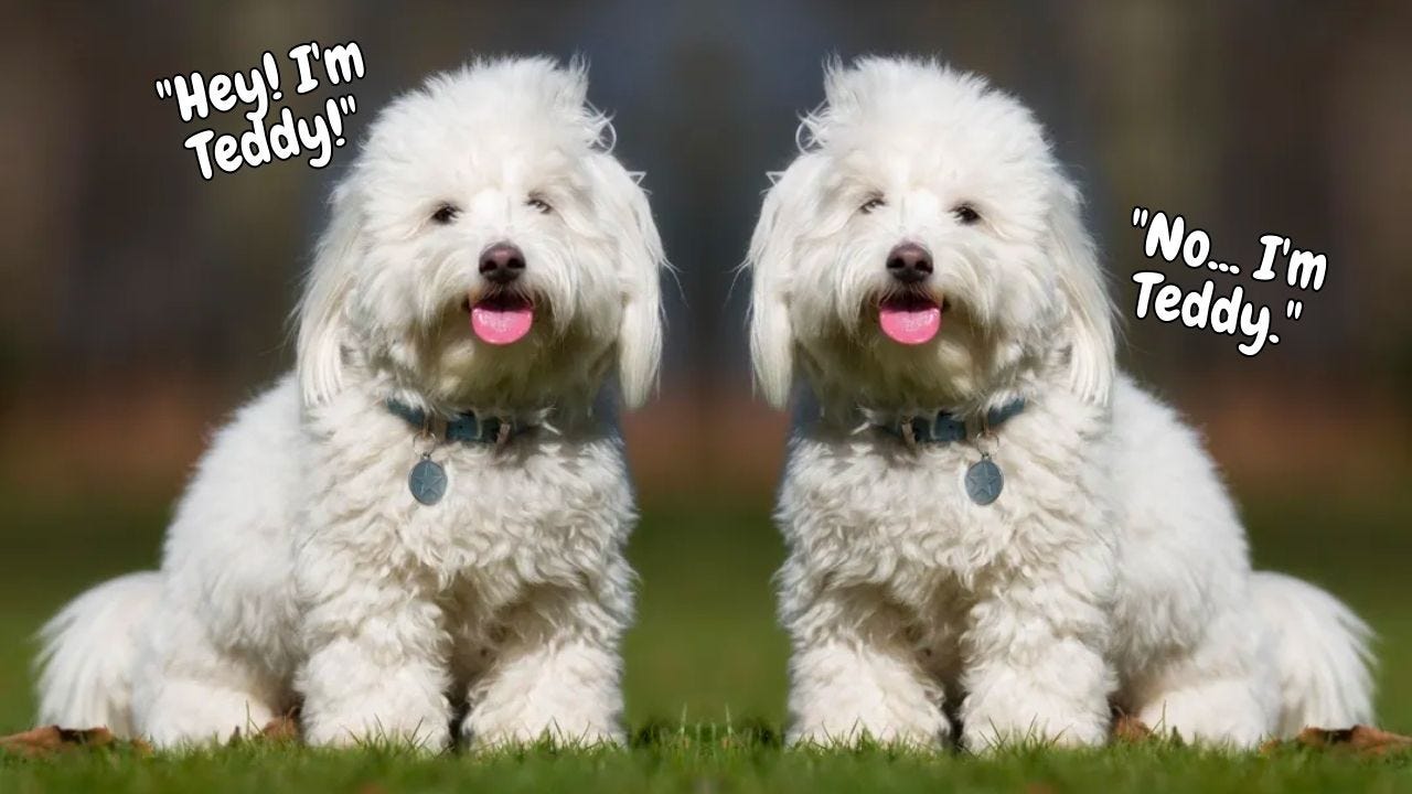 🧬 You Can Clone Your Dog (Seriously...) by Chris