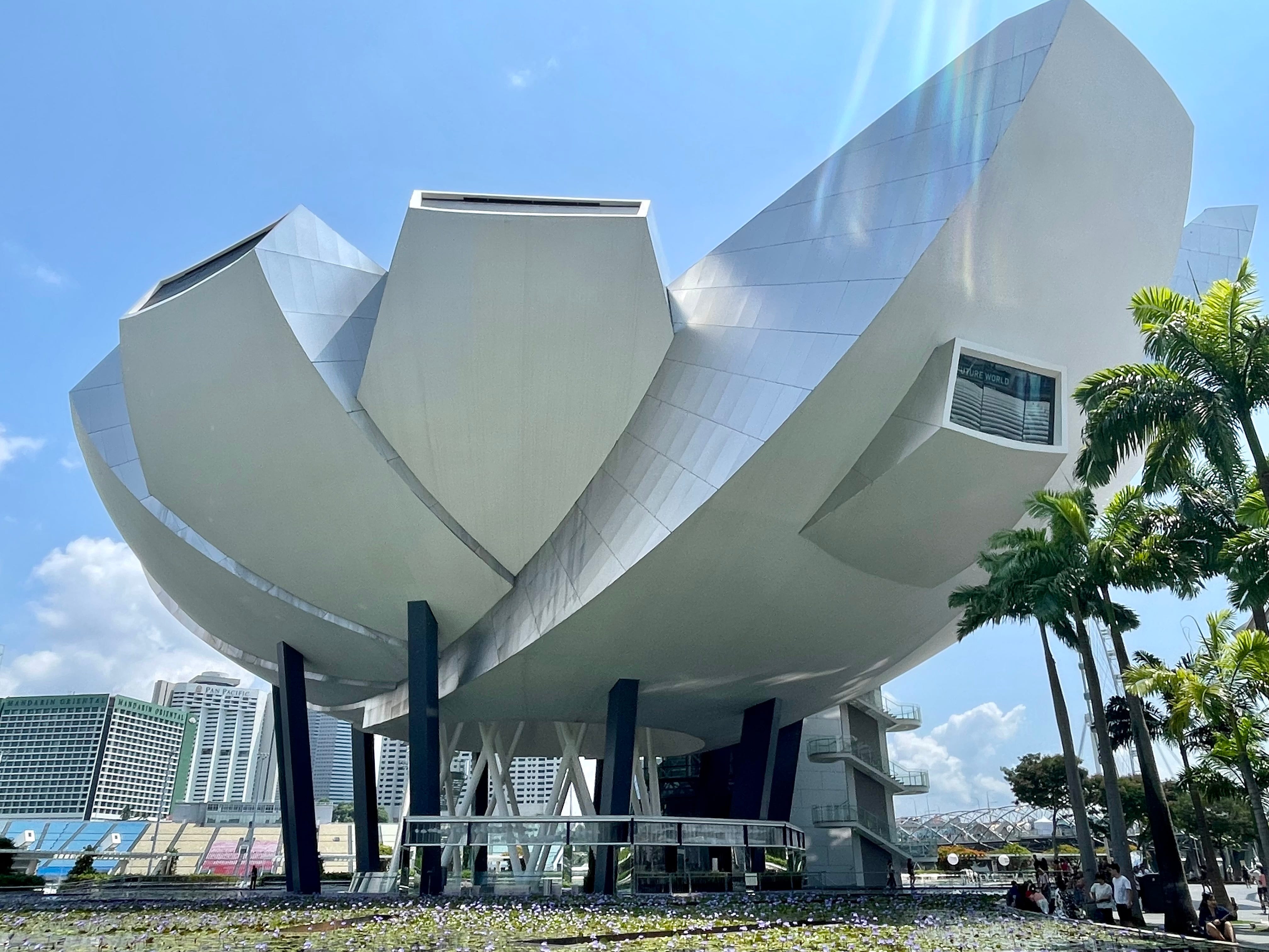 Artscience museum hot sale