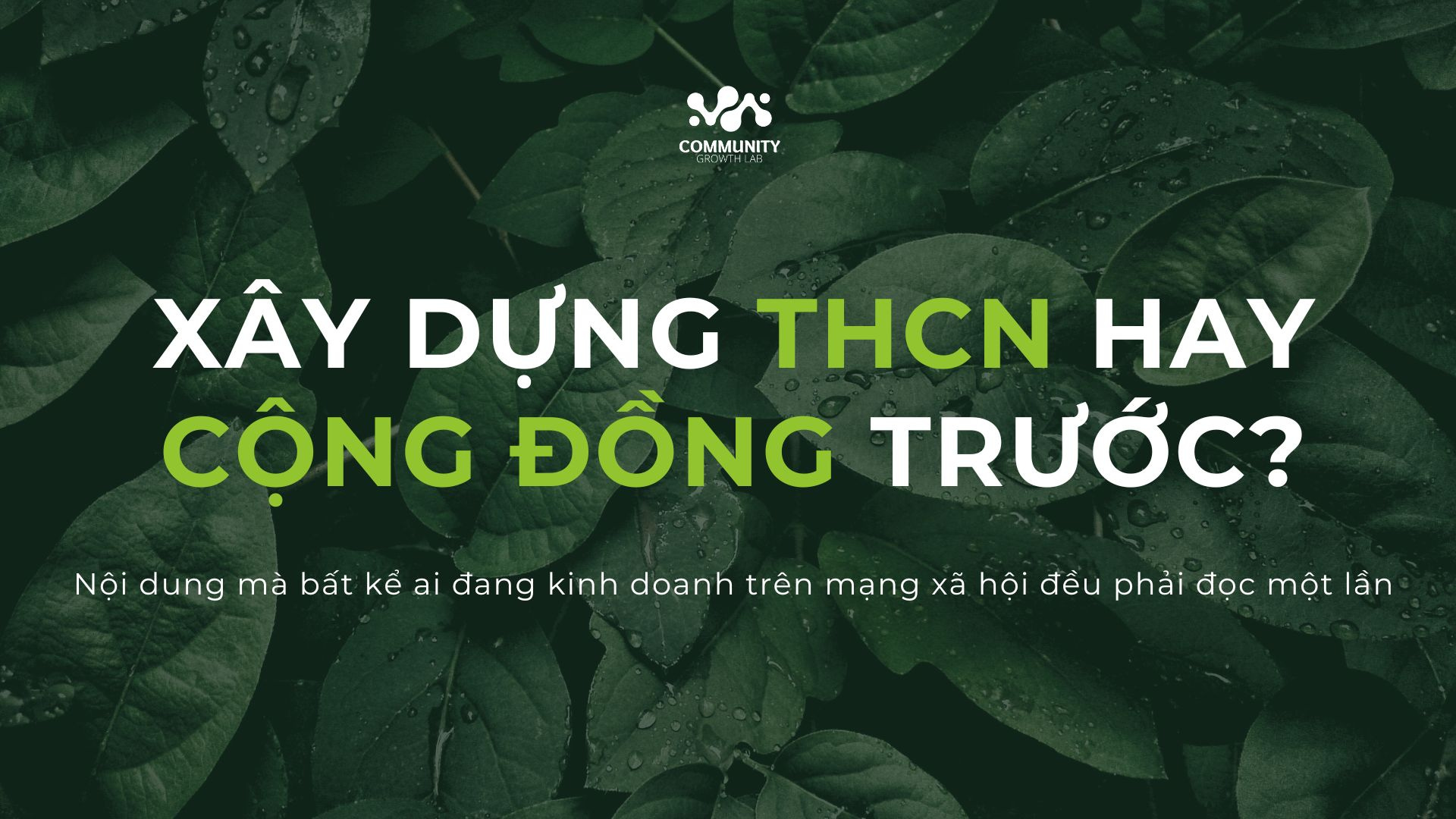 Xây dựng cộng đồng Vai trò và tầm quan trọng