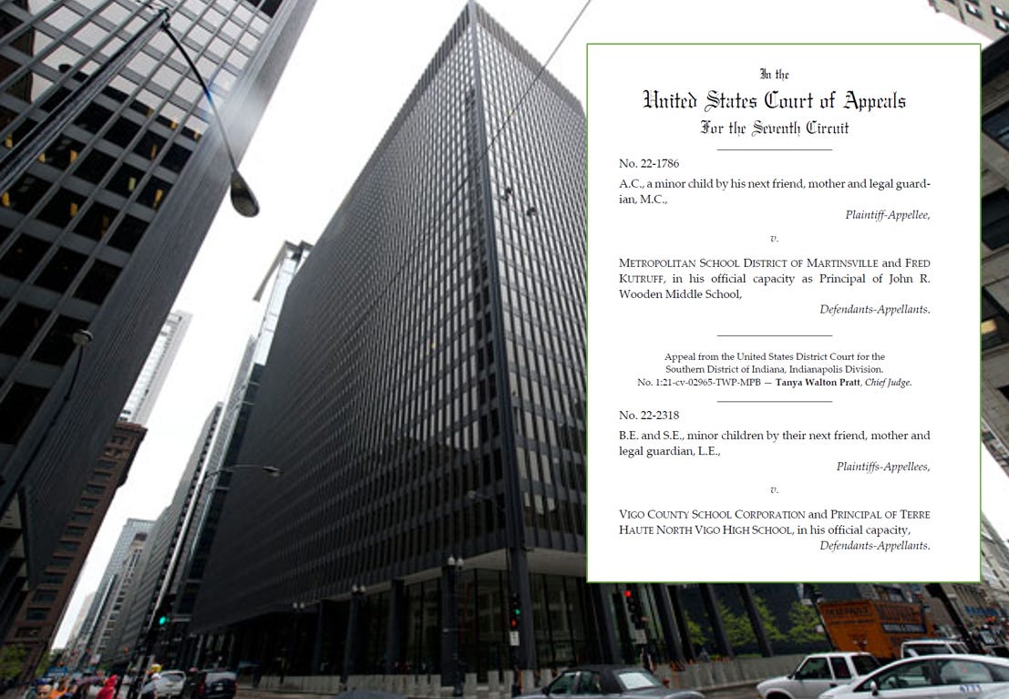 7th circuit court of appeals opinions deals