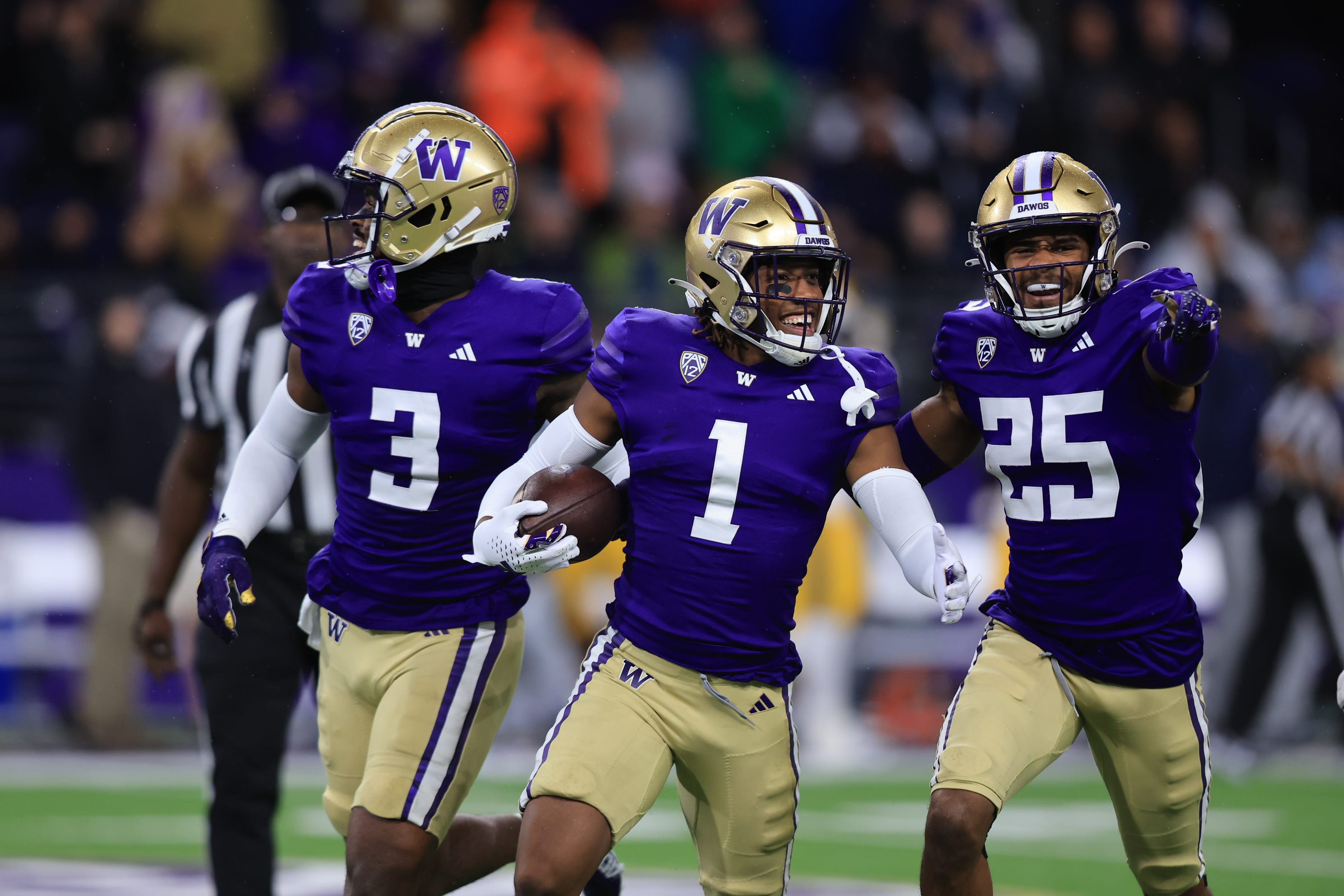 Washington hot sale husky football