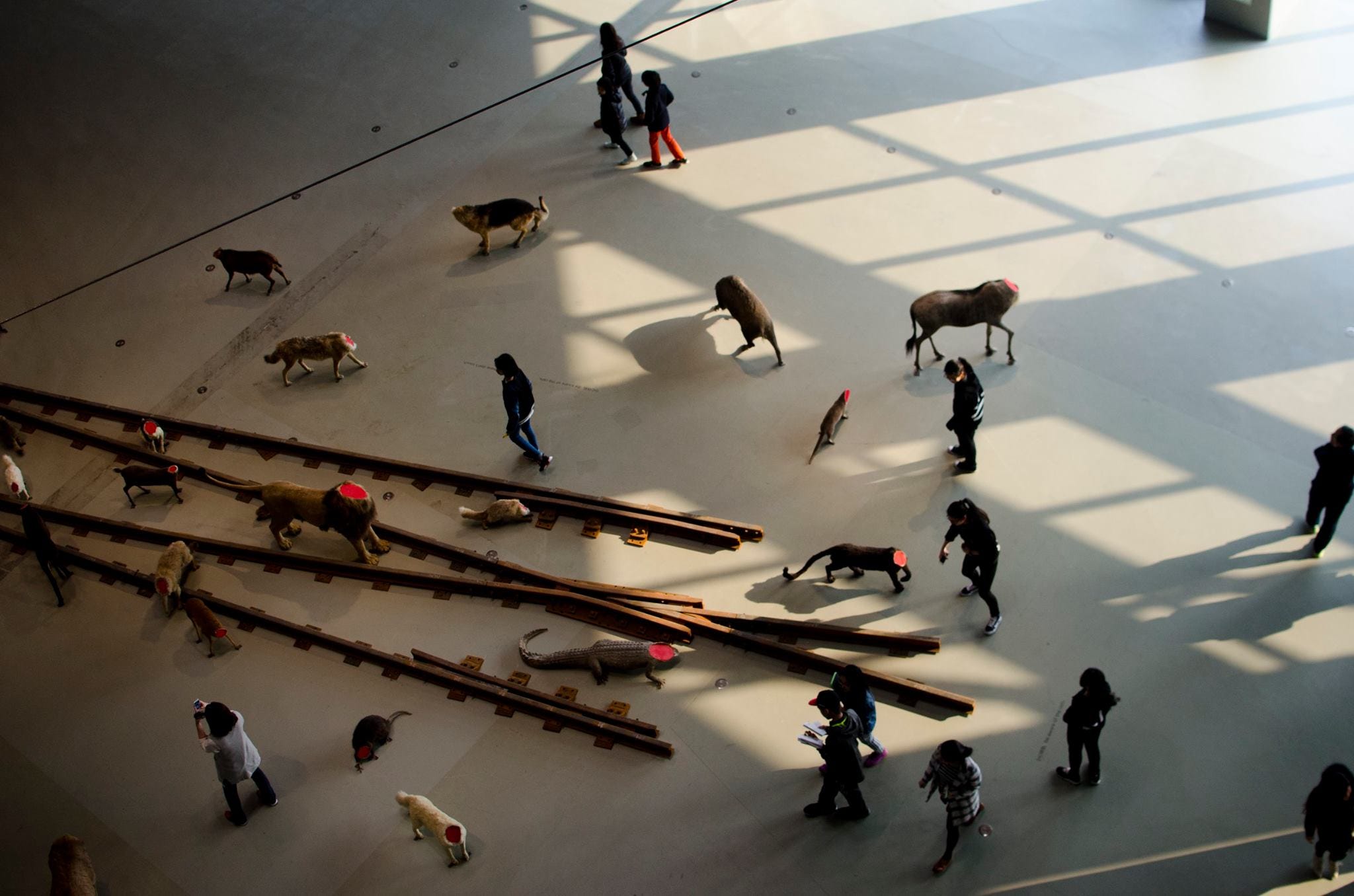 My time in China by Henry Cooke Museum Street