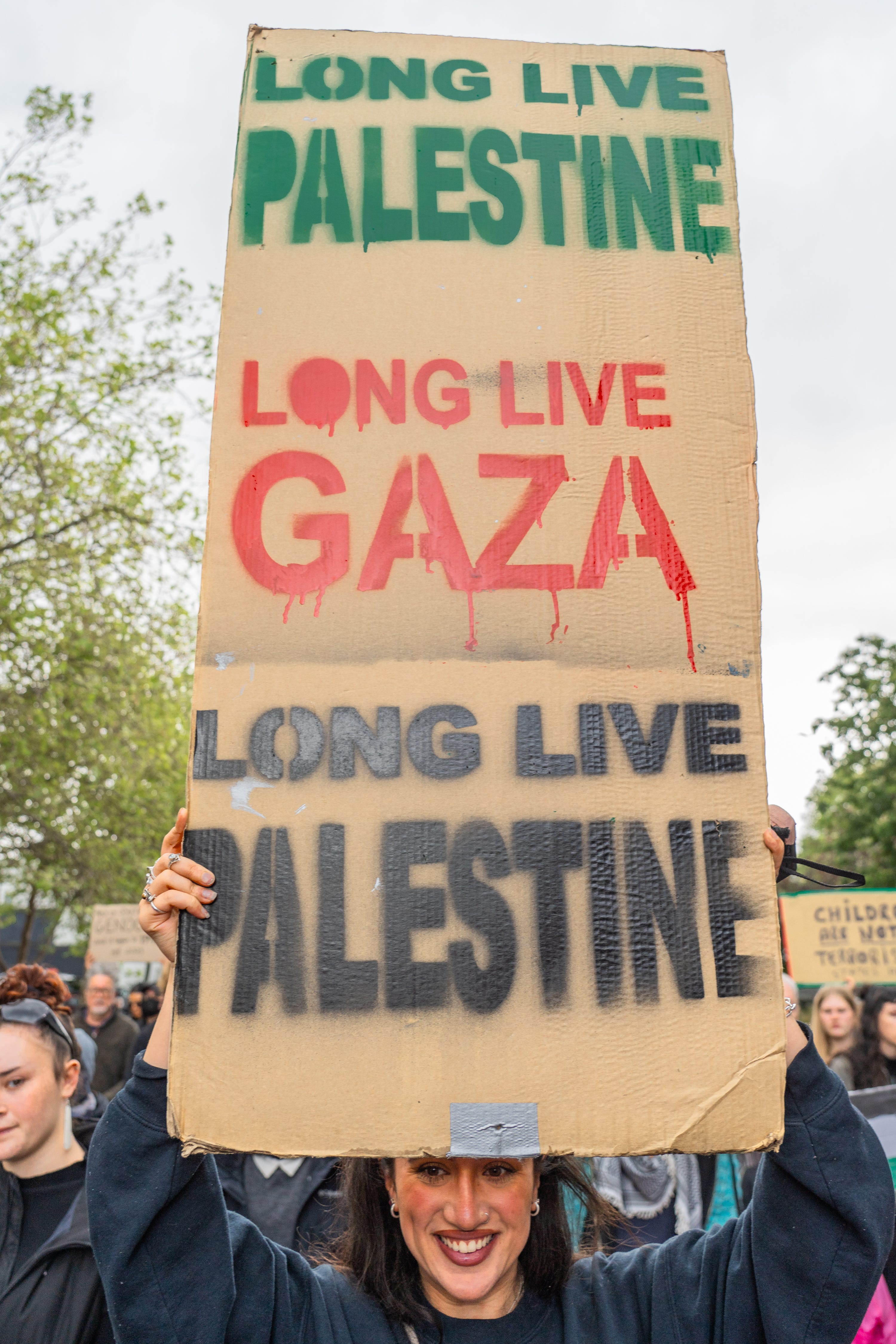 The Art of Saddle Fitting A Comprehensive Guide to Measuring a Saddle for Your Horse