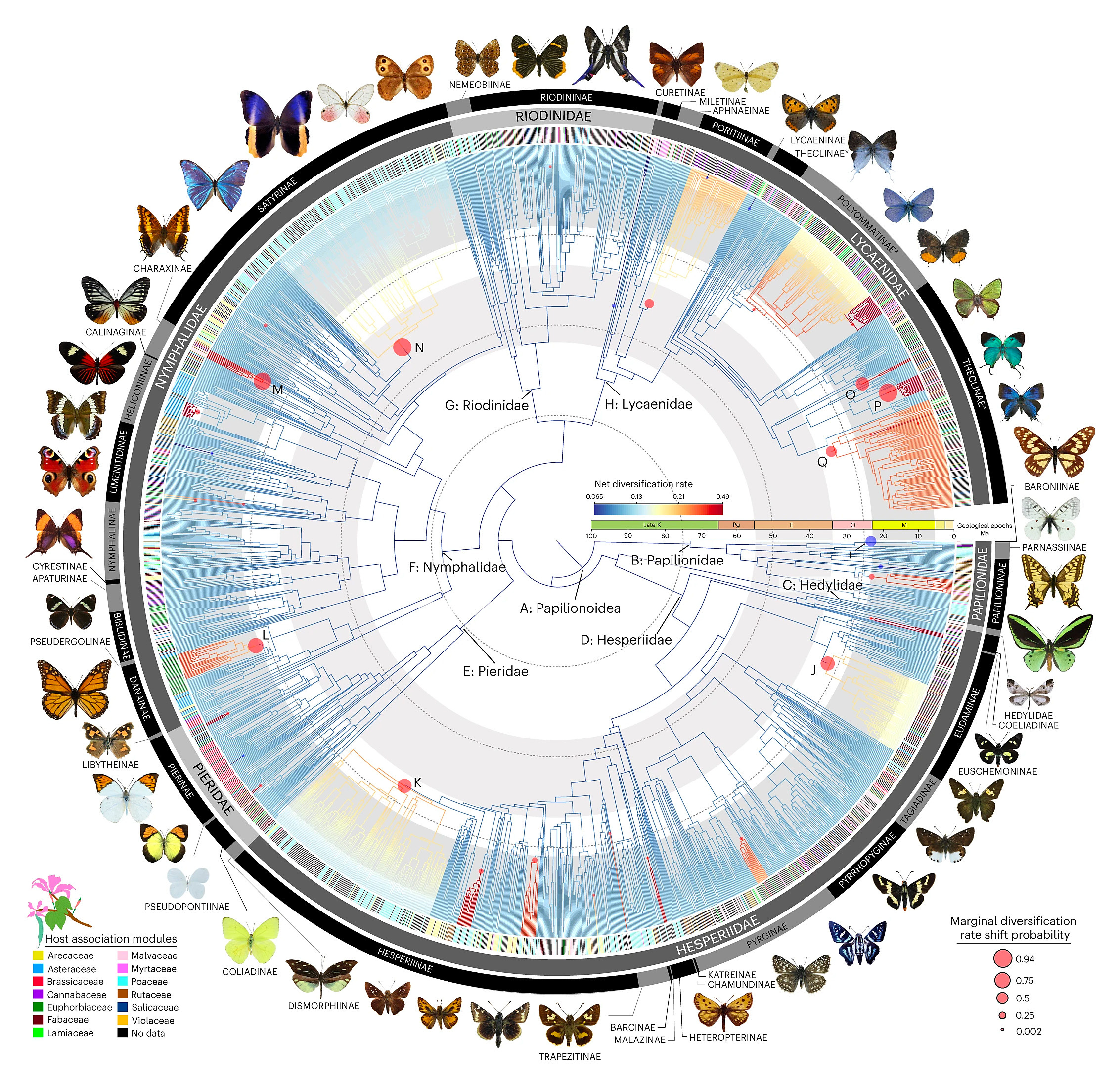 The Impact Of The Fetching Butterflies Leak On Society - 9gu1c7p