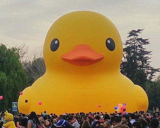 Giant rubber duck amazon top