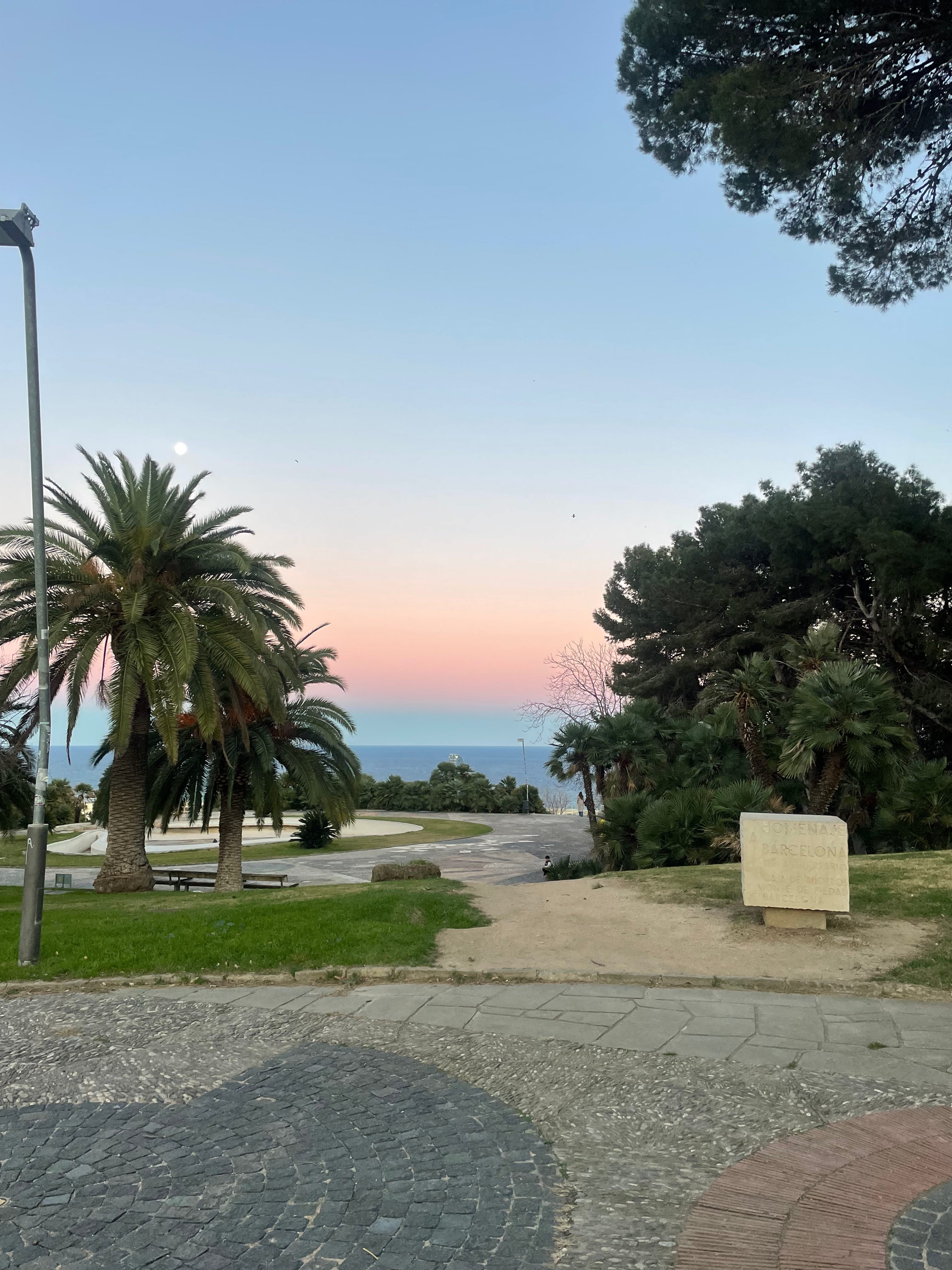 No One Could Have Seen This Coming (joke)