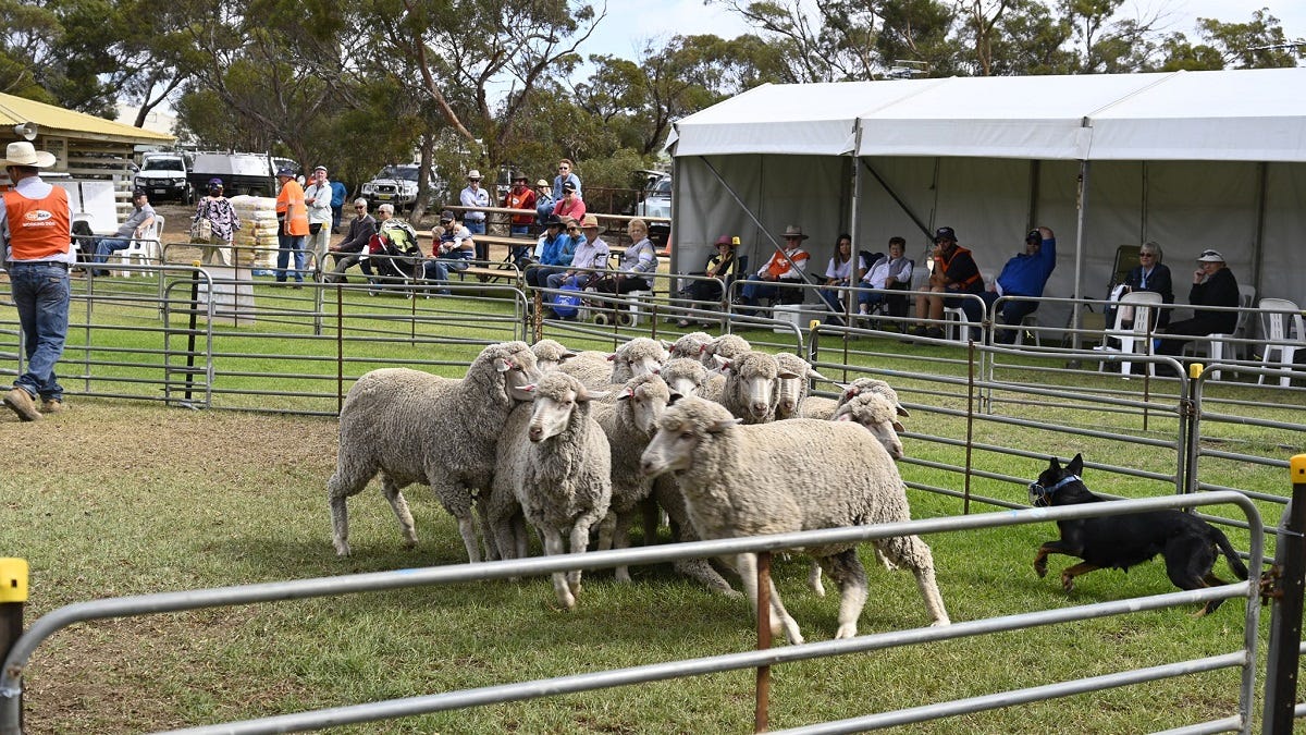 Everpopular Karoonda Farm Fair and Show returns in 2023