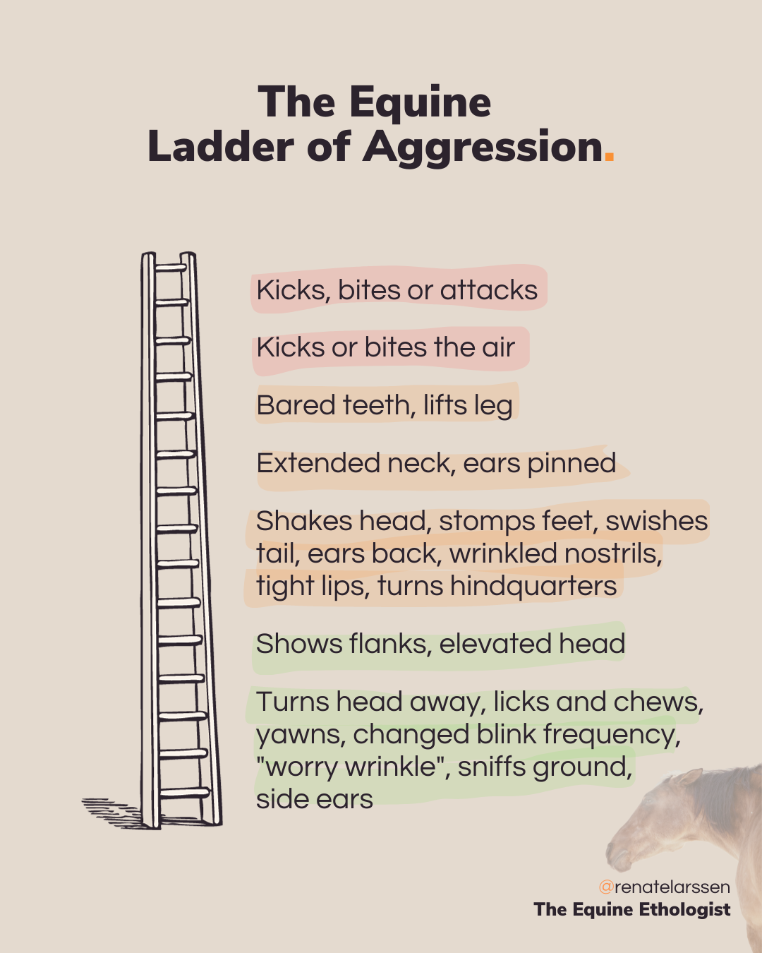 The Equine Ladder Of Aggression By Renate Larssen