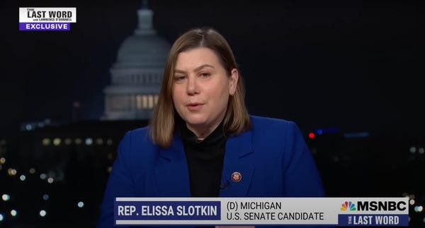 Michigan, Meet Your Next Democratic Senator Elissa Slotkin!