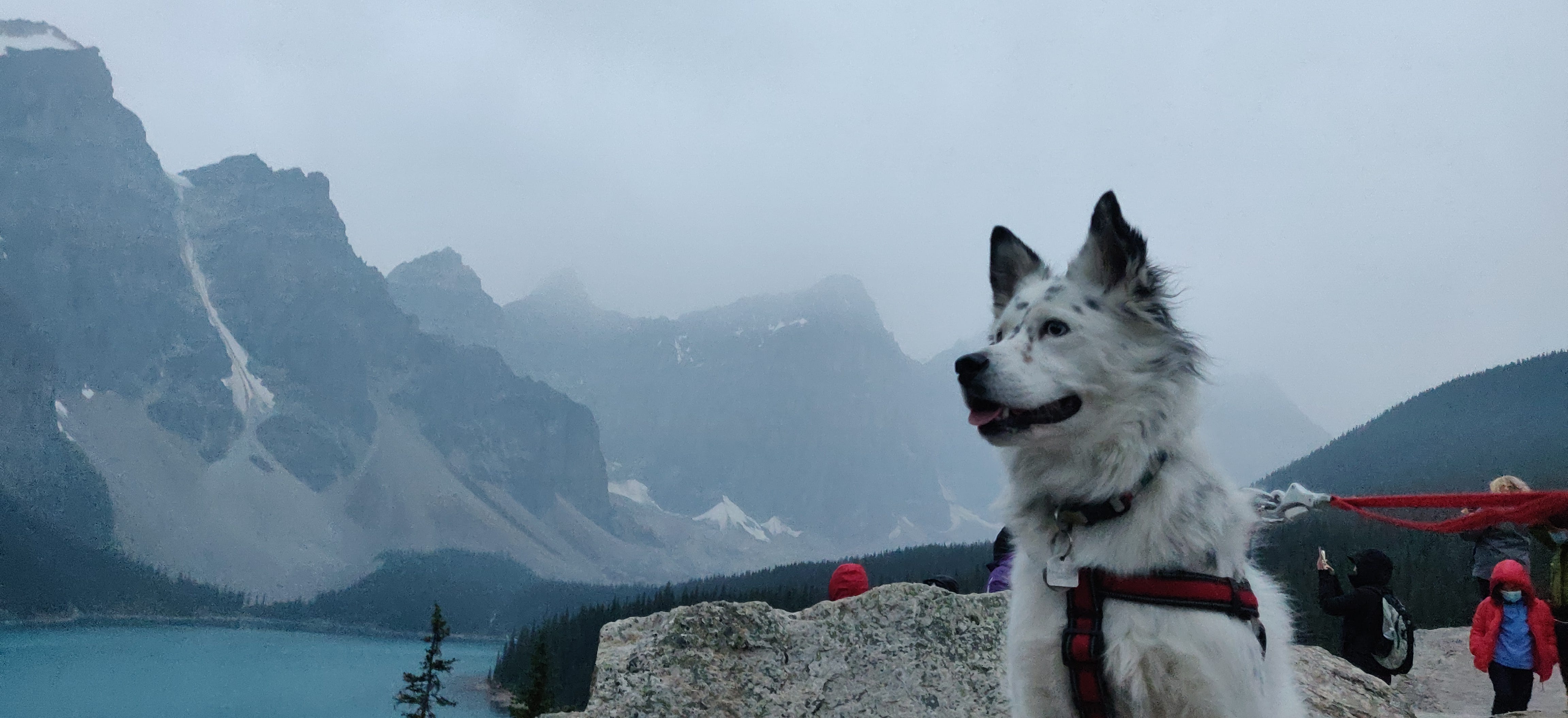 Moraine Lake Road Closure Highlights Parks Canada's Difficult Balancing Act