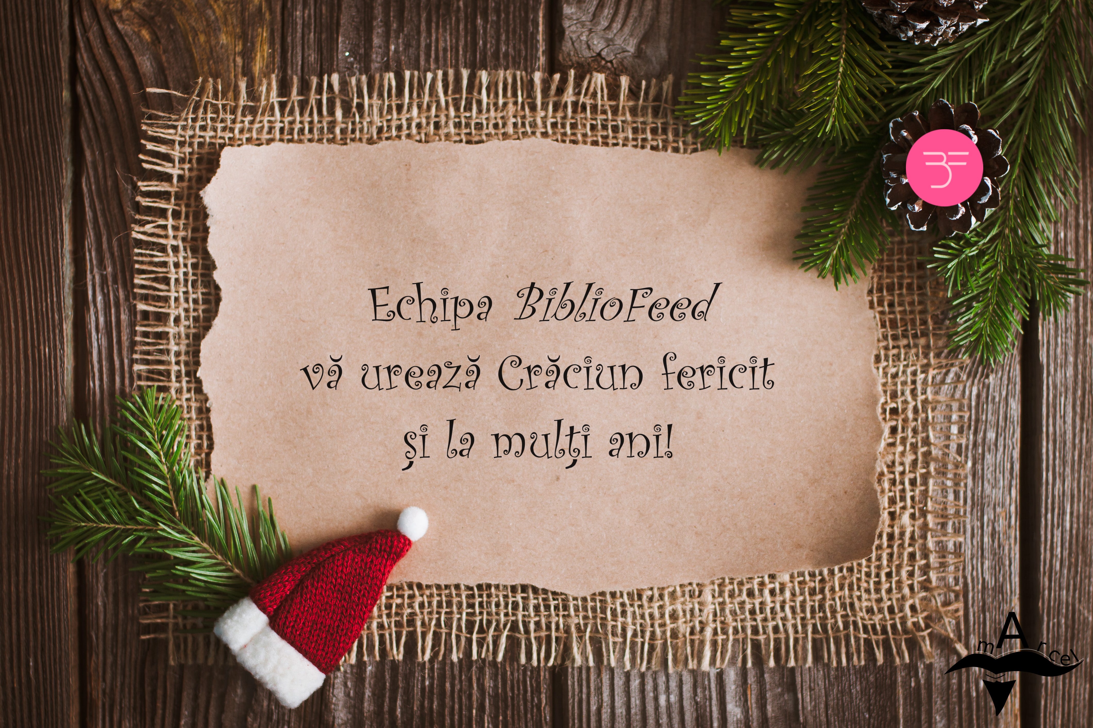 BiblioFeed #57 - Ediție de Crăciun - BiblioFeed