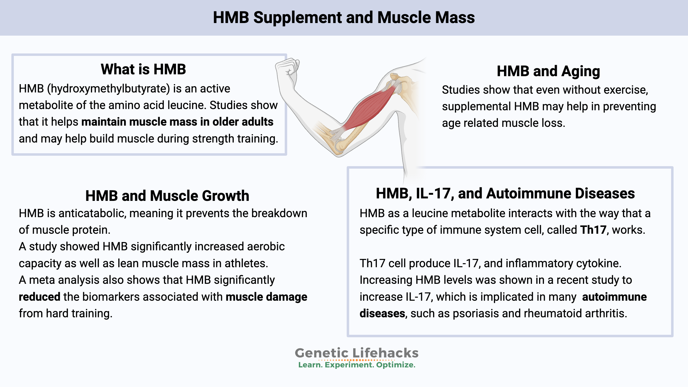 Supplementing with HMB - by Debbie Moon - Genetic Lifehacks