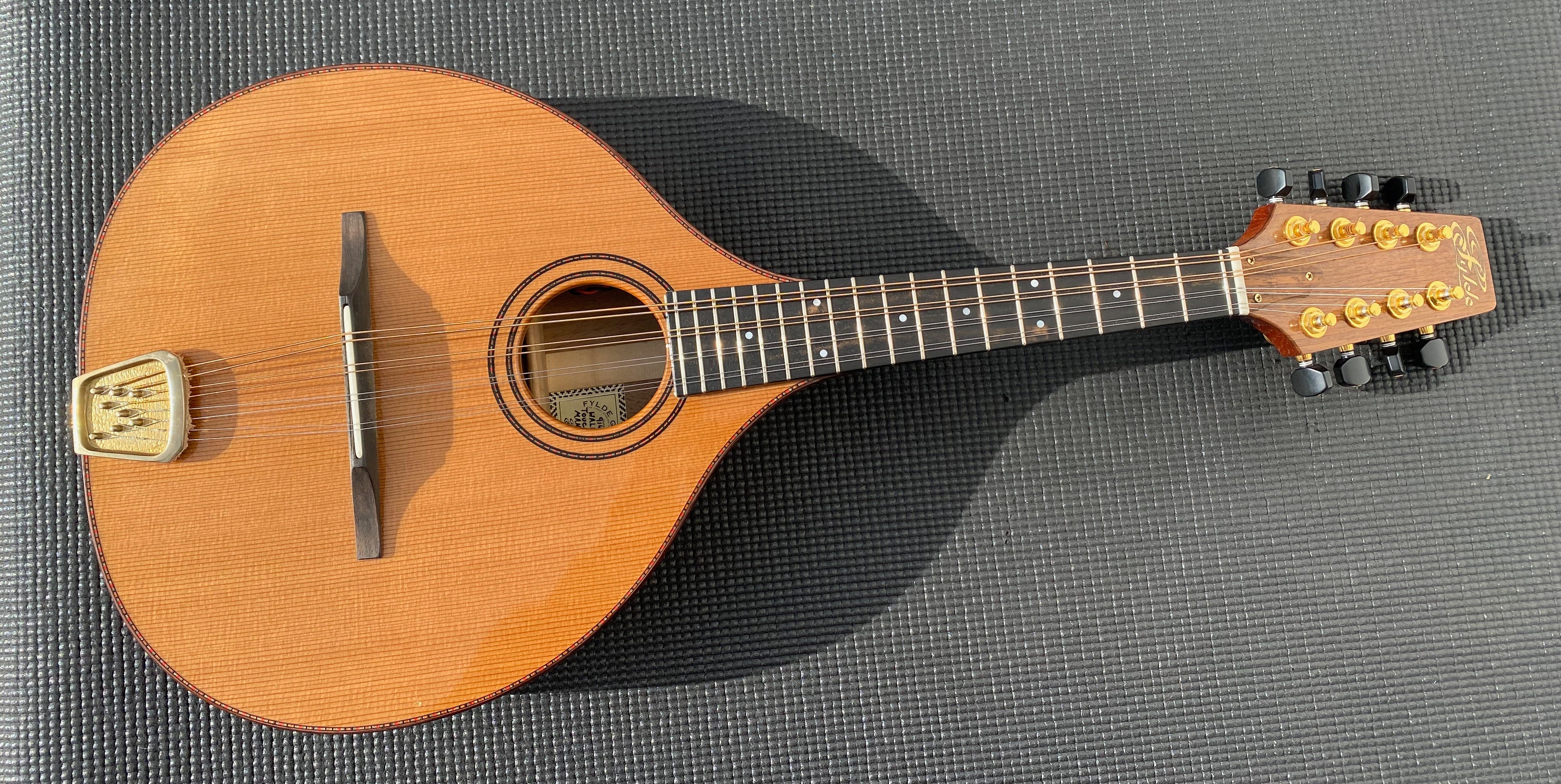 Used fylde guitars for sale deals