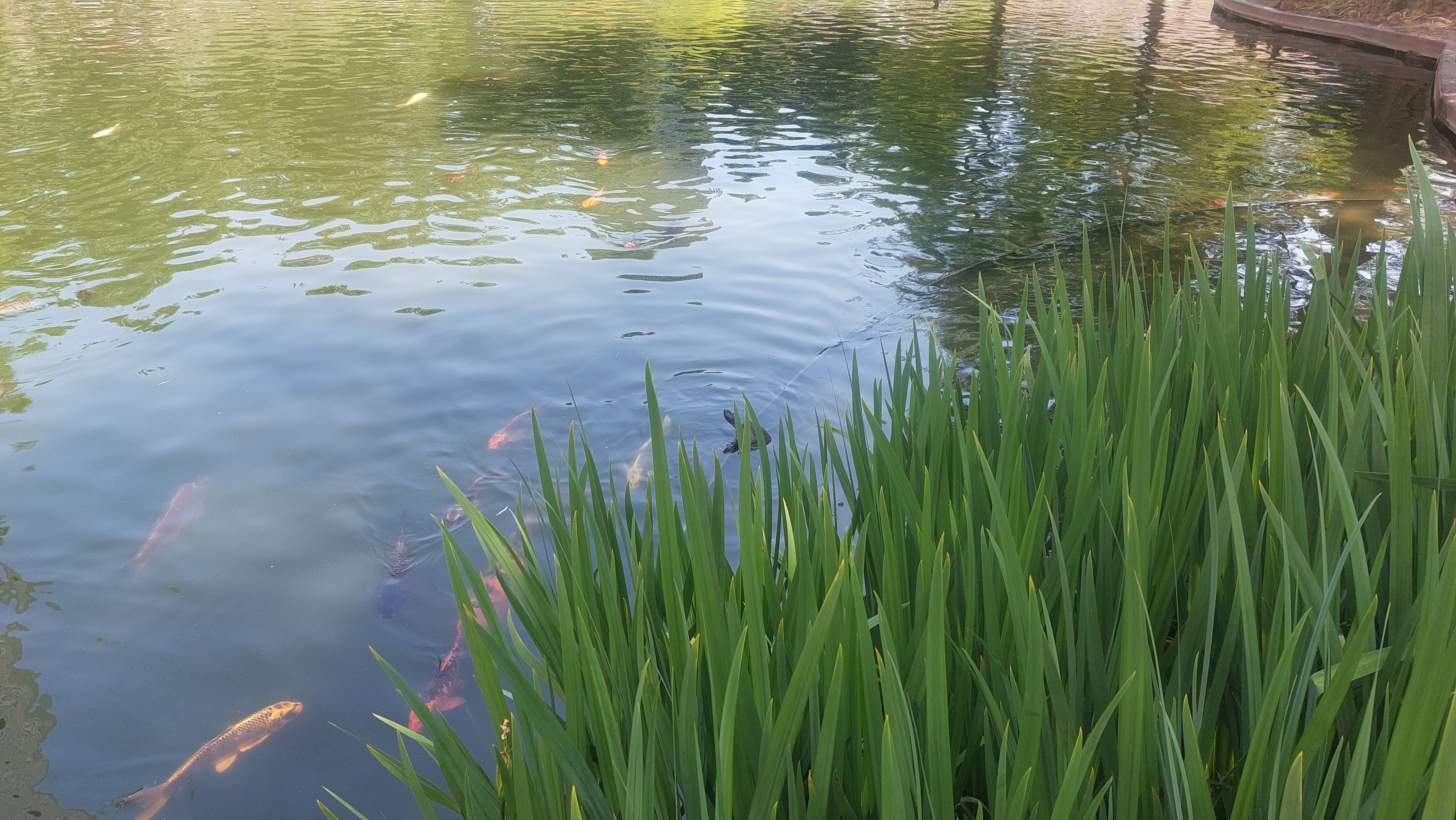 Genesis 7 1 8 14 The Flood By Karen Hoffman genesis-7-1-8-14-the-flood-by-karen-hoffman