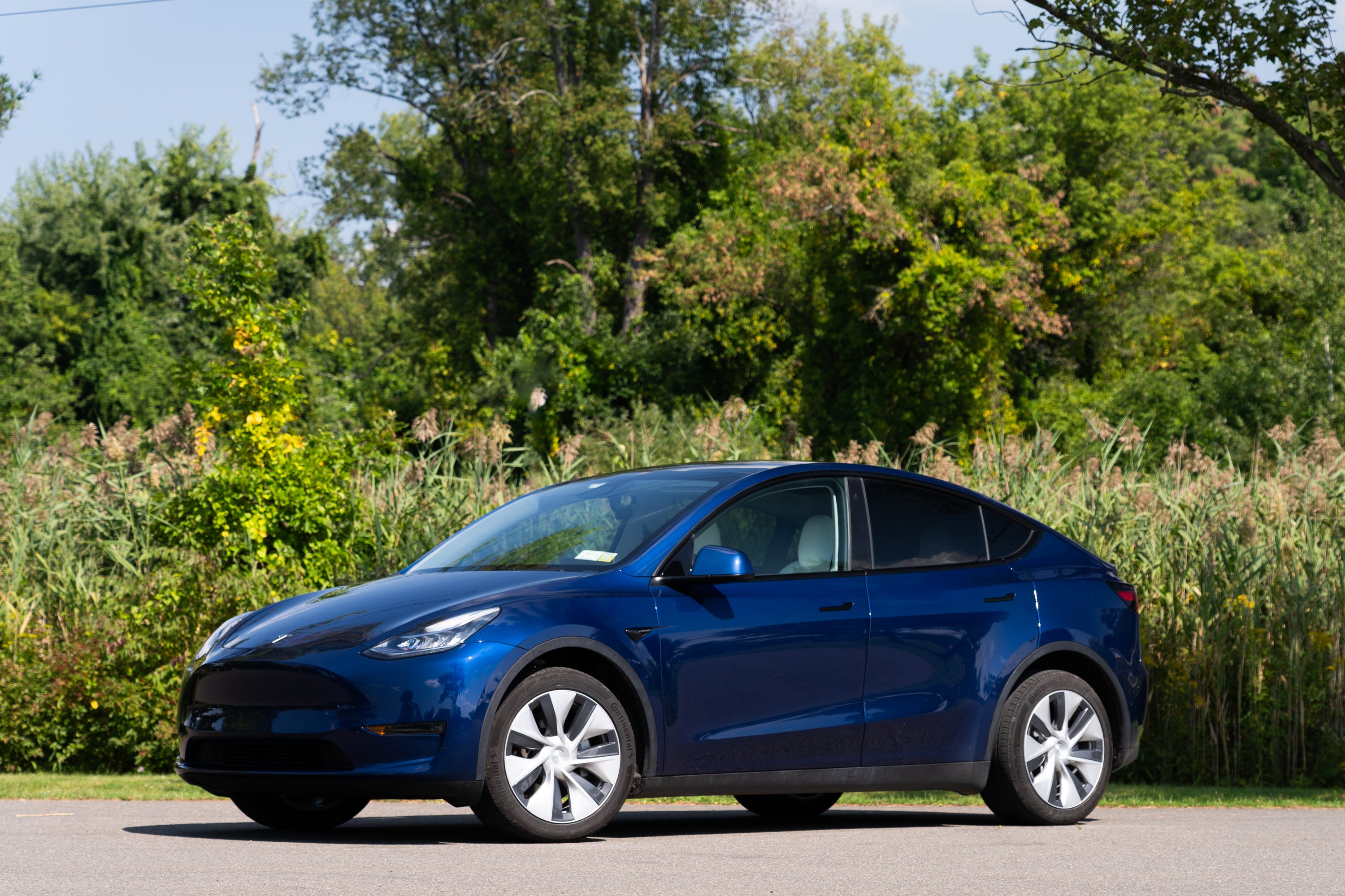 Tesla model clearance y blue