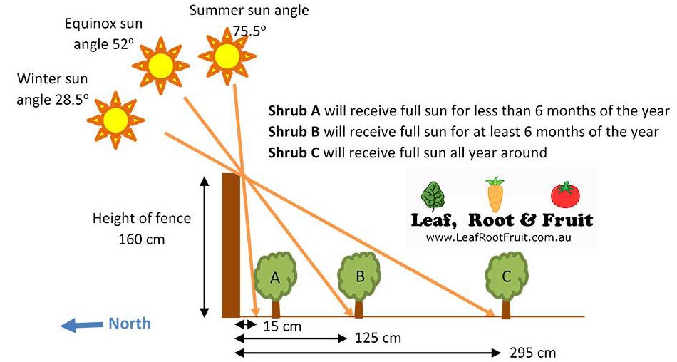 Site Analysis and Where to Put the Vegetable Patch: Sunlight and Access