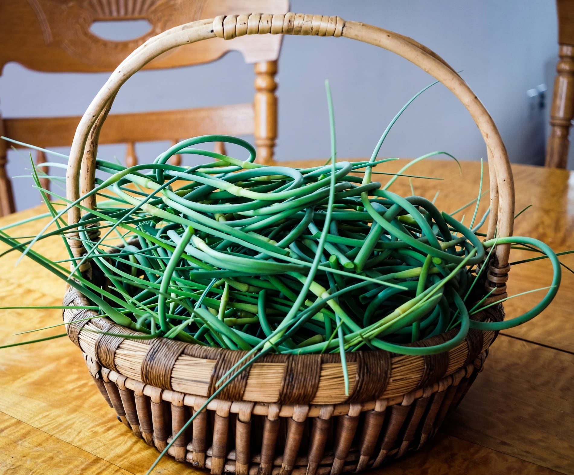 168 The Season of Garlic Scapes