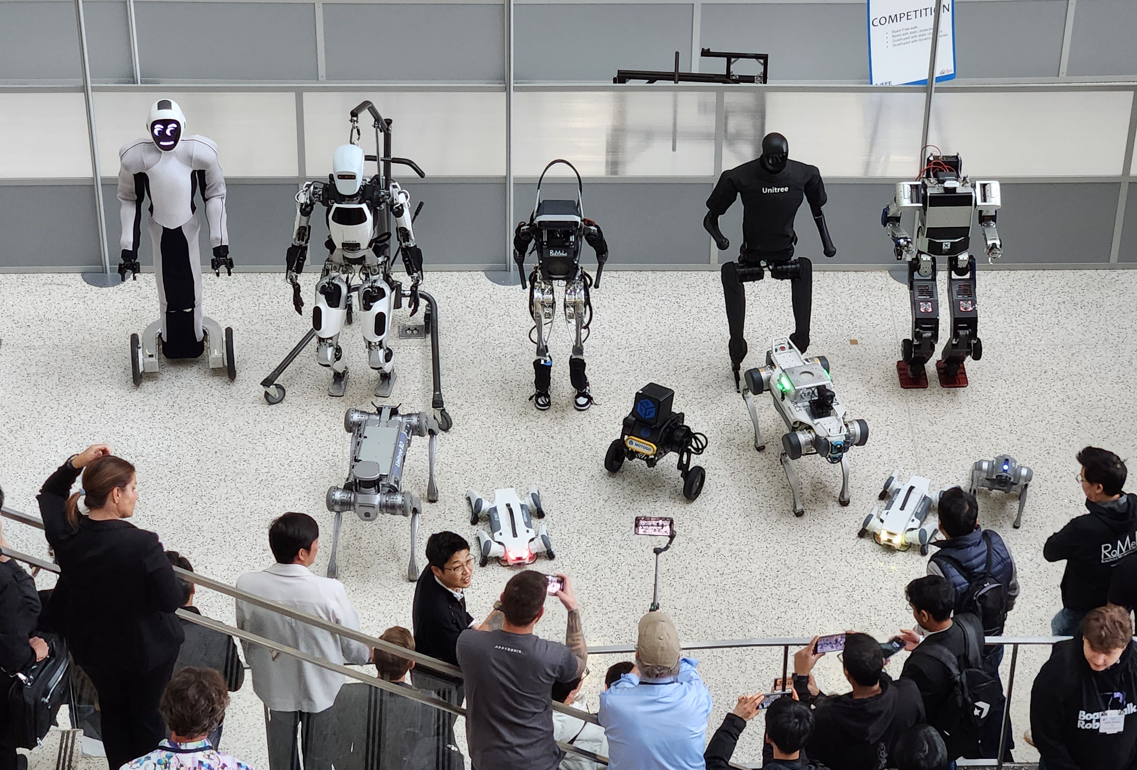 Ieee humanoids cheap