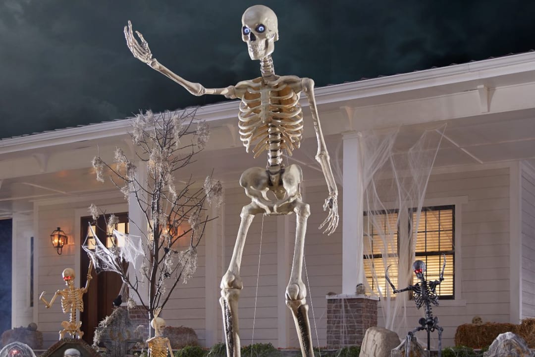 Skeleton home outlet depot
