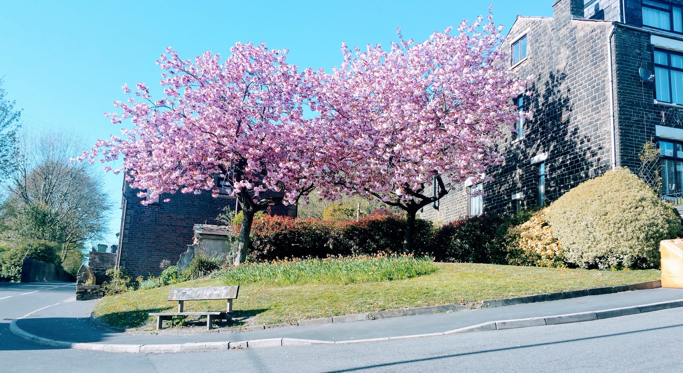 Spring has arrived in England - by Klauss UK