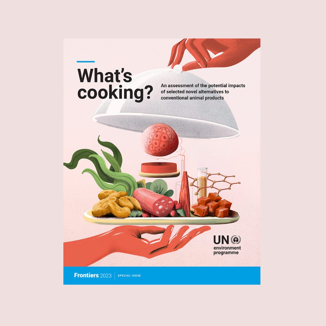 Novel meat and dairy alternatives could help curb climateharming