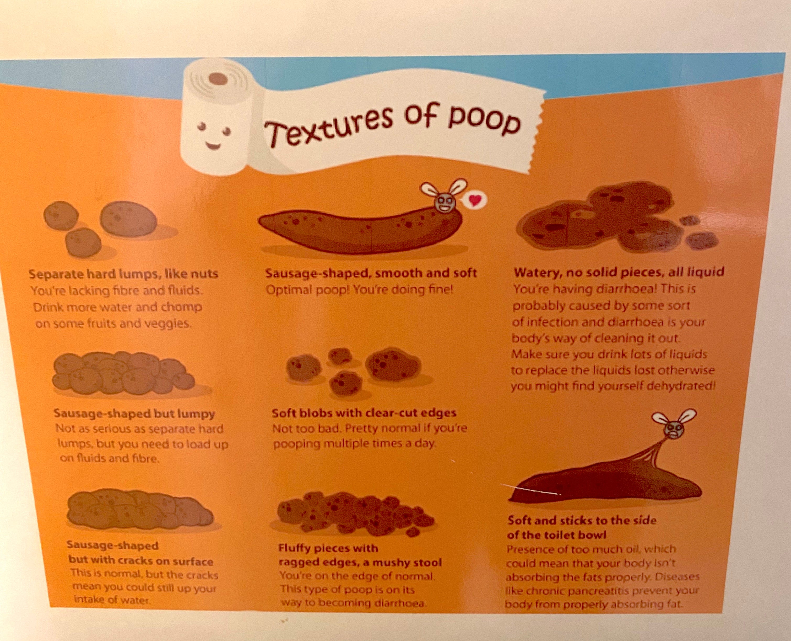This is a post about poop by Rachel Katz Inner Workings