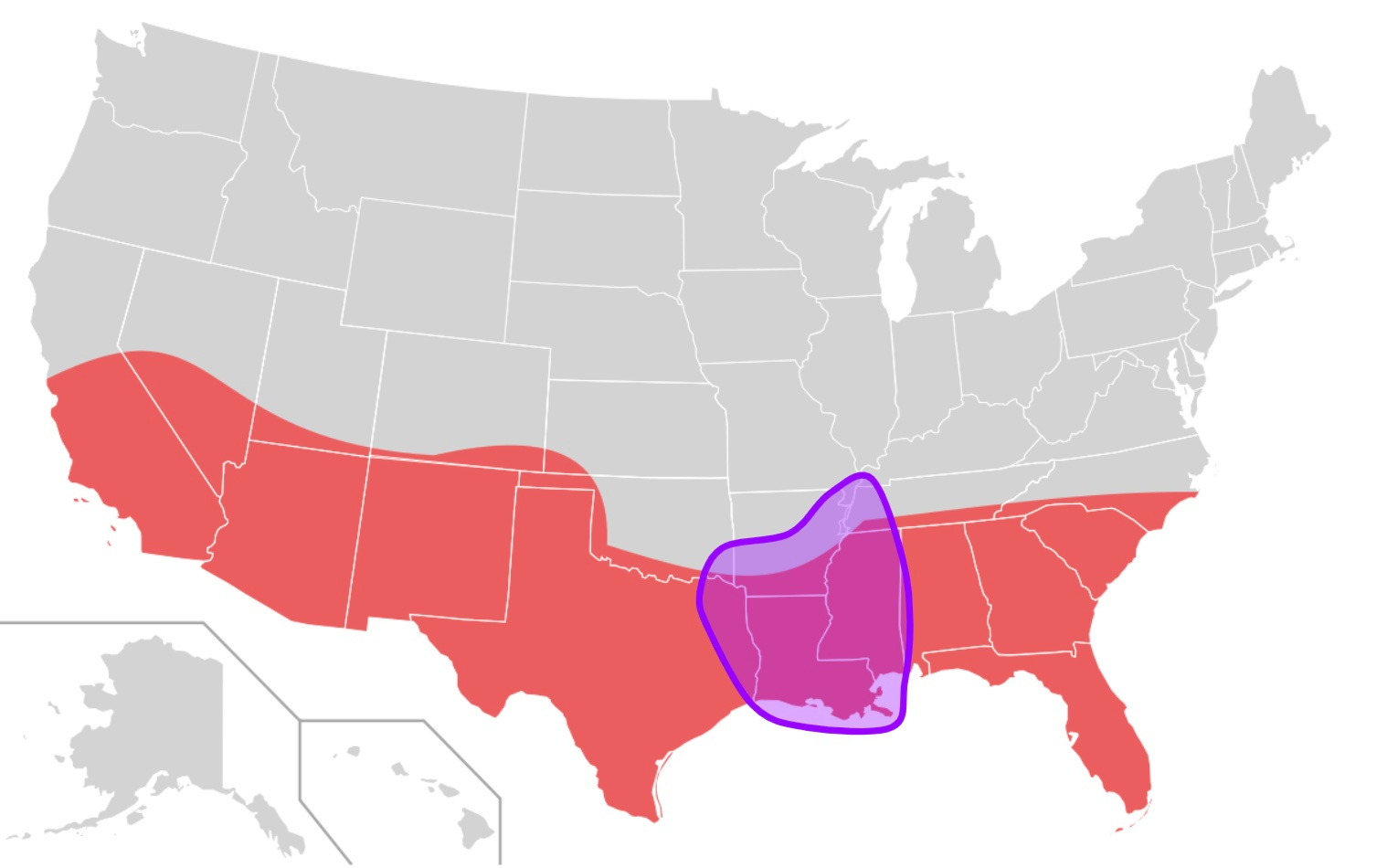 Where is the sunbelt hotsell