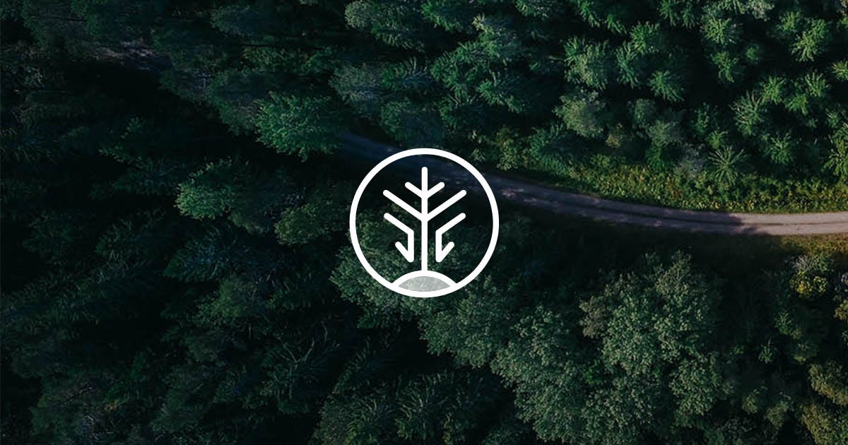 Meet Maddie Hall & Patrick Mellor, Founders of Living Carbon