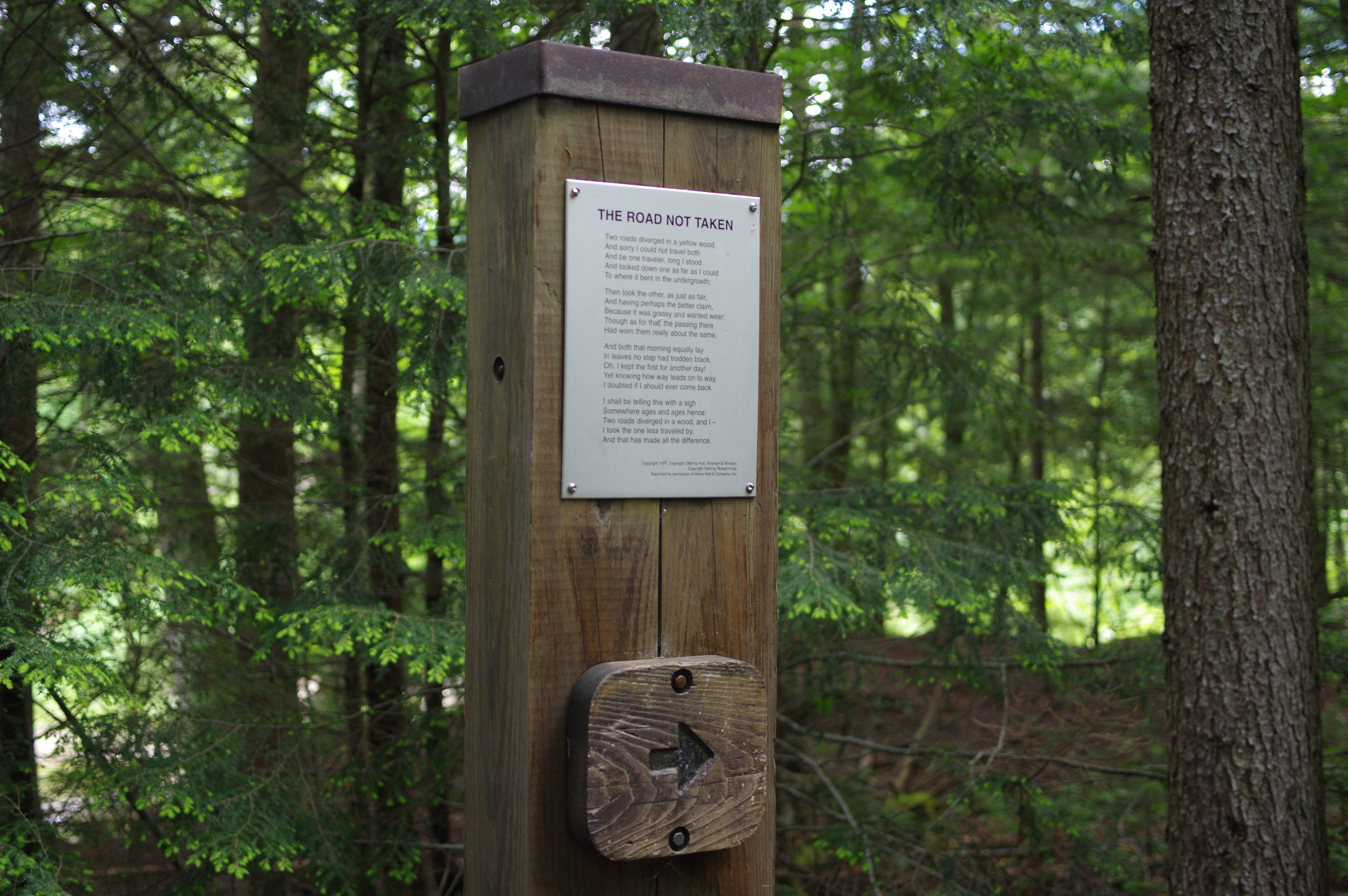 The Road Not Taken Trackless Wild with Janisse Ray