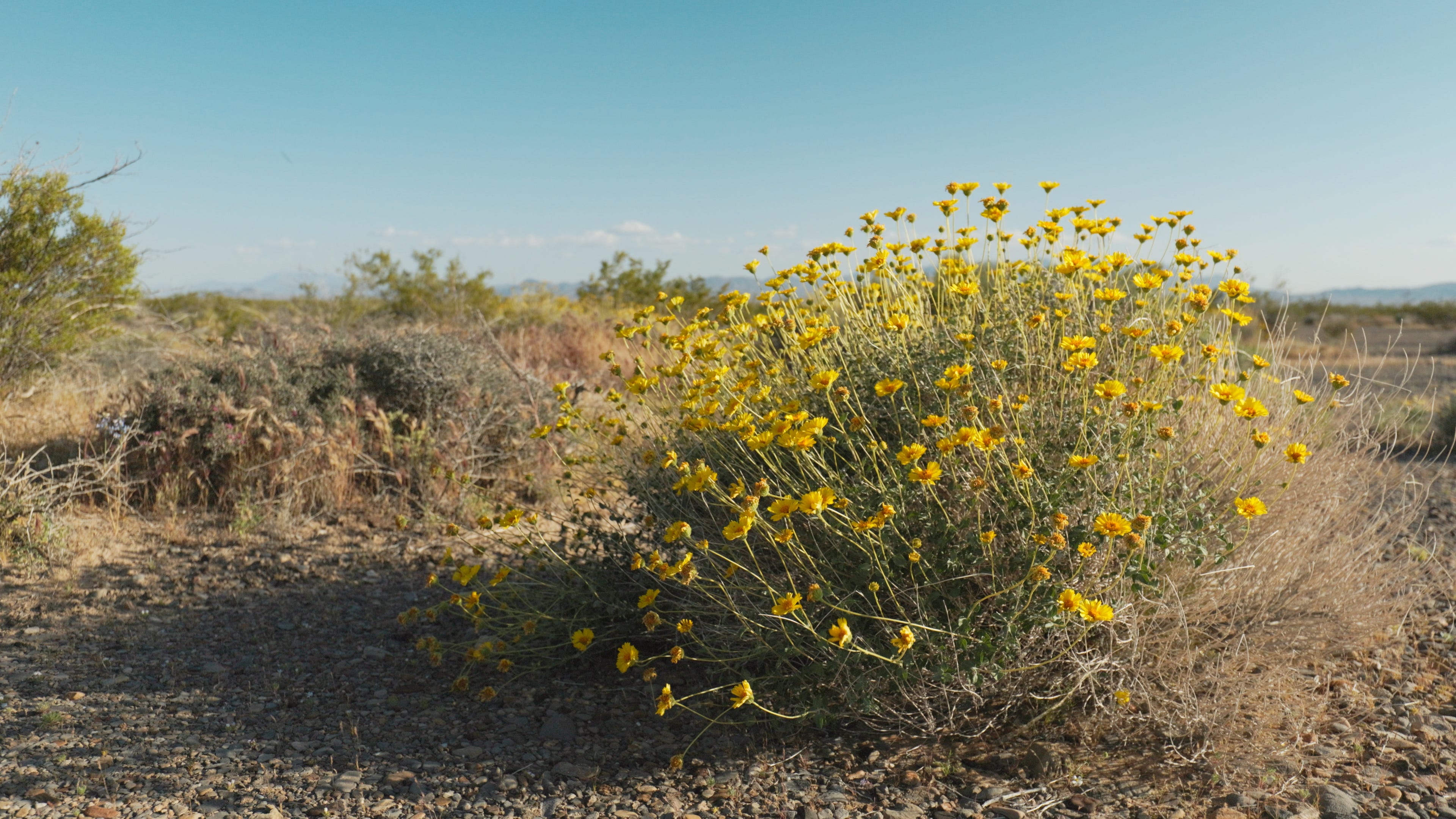 Unmasking the Dark Side of Solar - by Justin McAffee