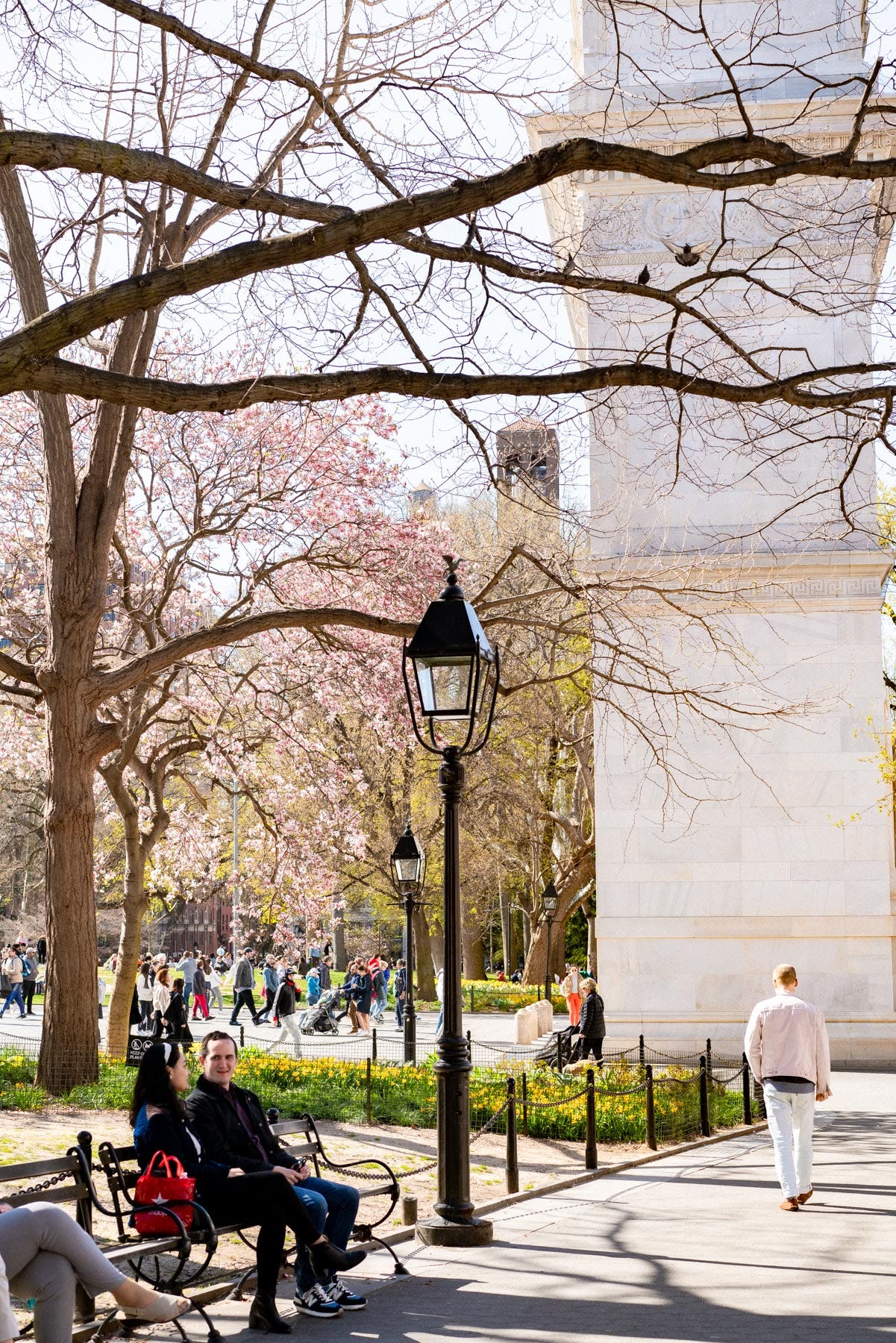 Spring in New York City: 8 Stunning Cherry Blossom Locations You Can't ...
