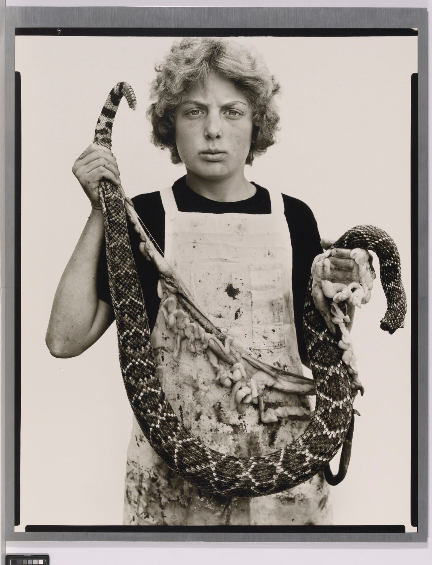Avedon at 100 - by Andy Adams - FlakPhoto Digest