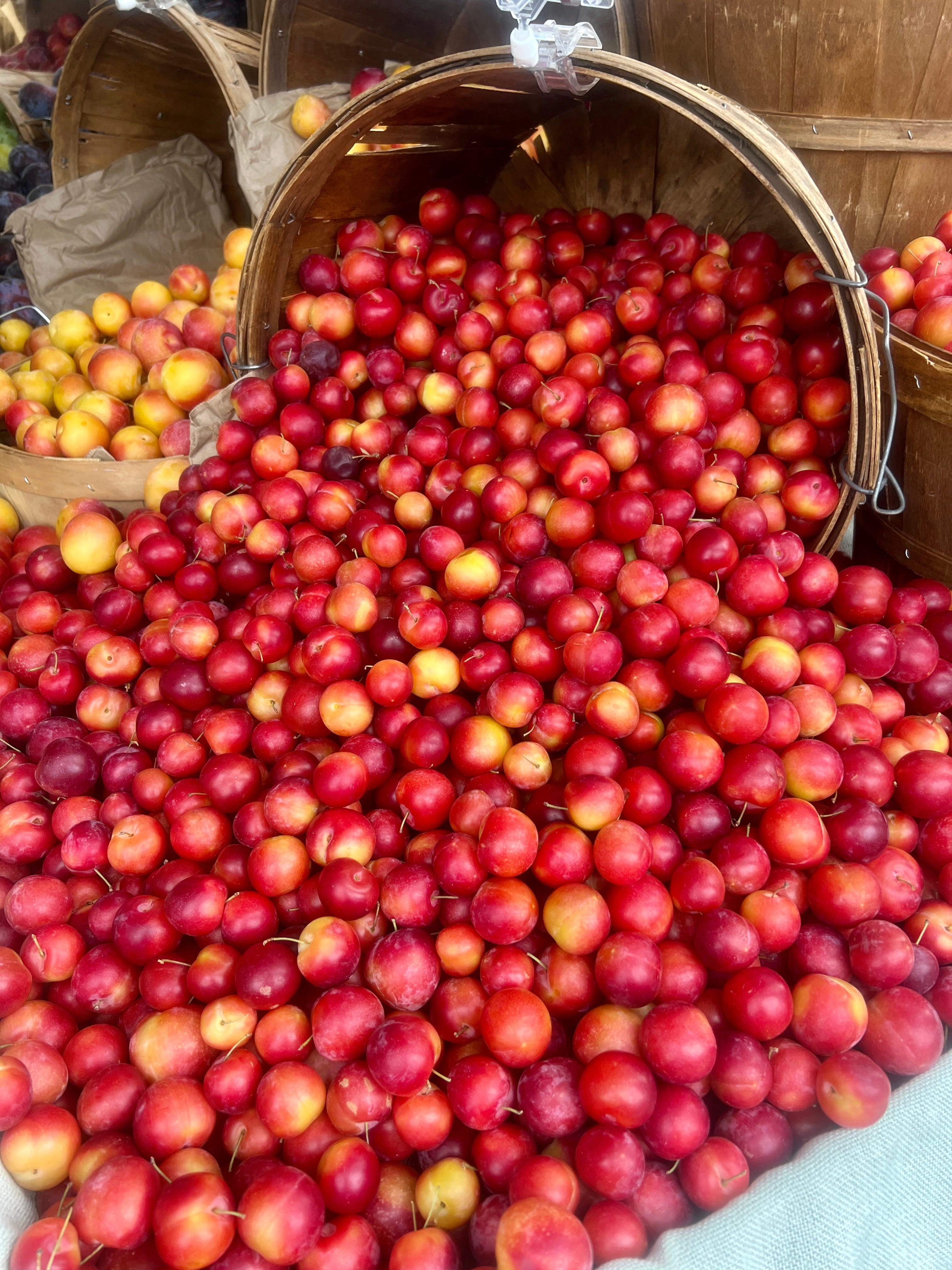 brown butter corn nut brittle cookies - by Amanda Rago