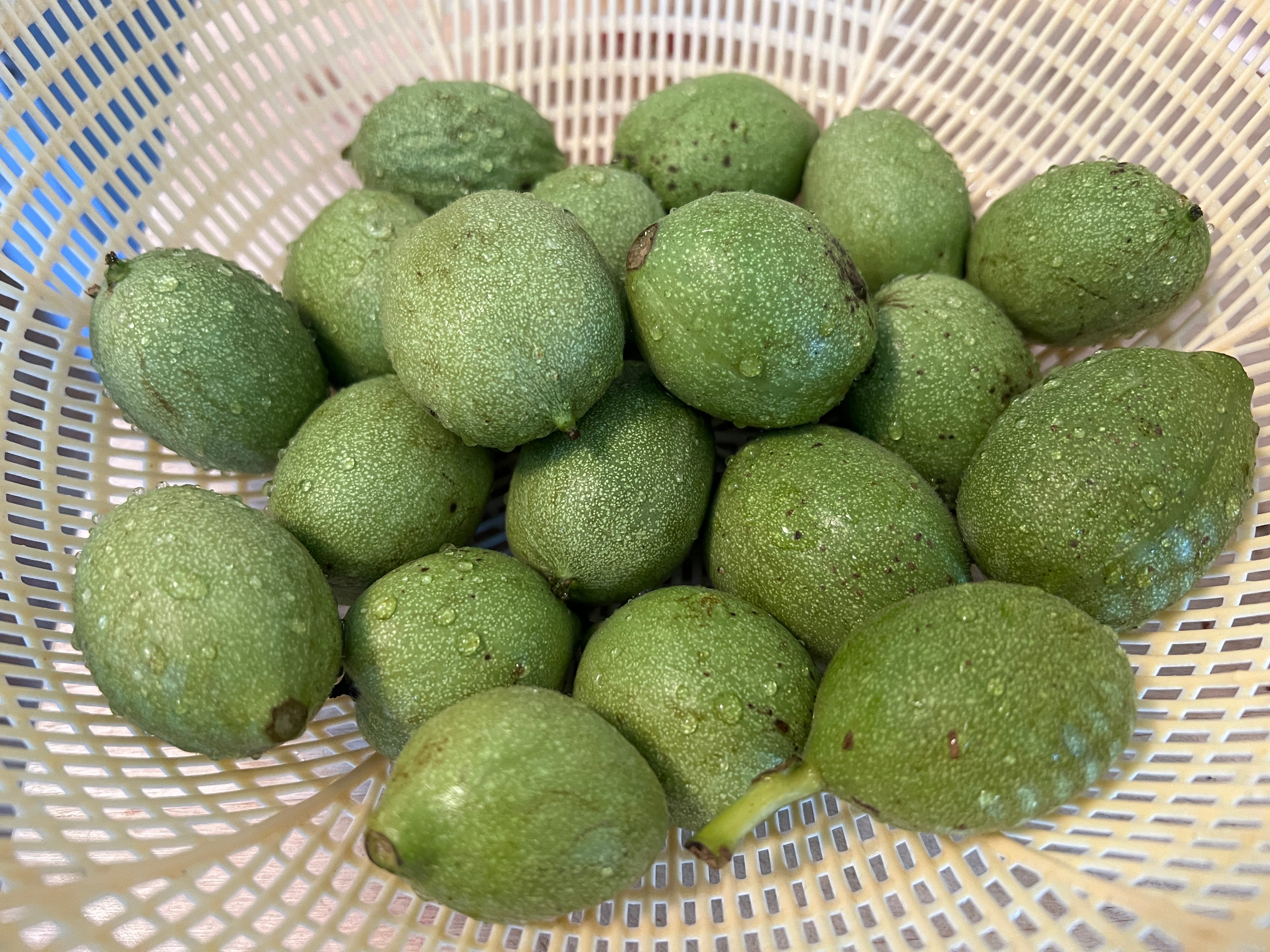 The walnuts have returned in full force