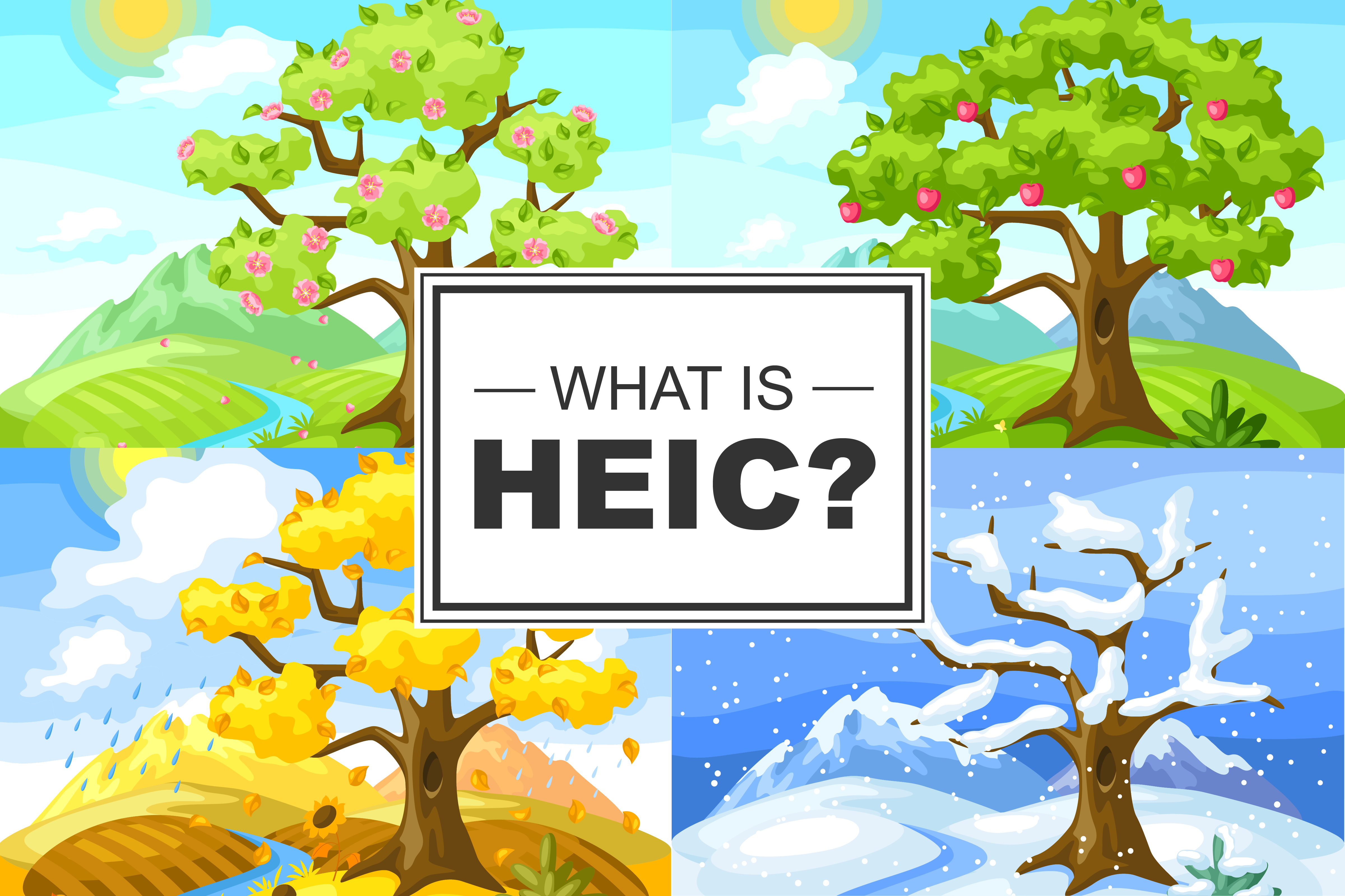 What Is HEIC? by Stefan Meuser Digitally Explained